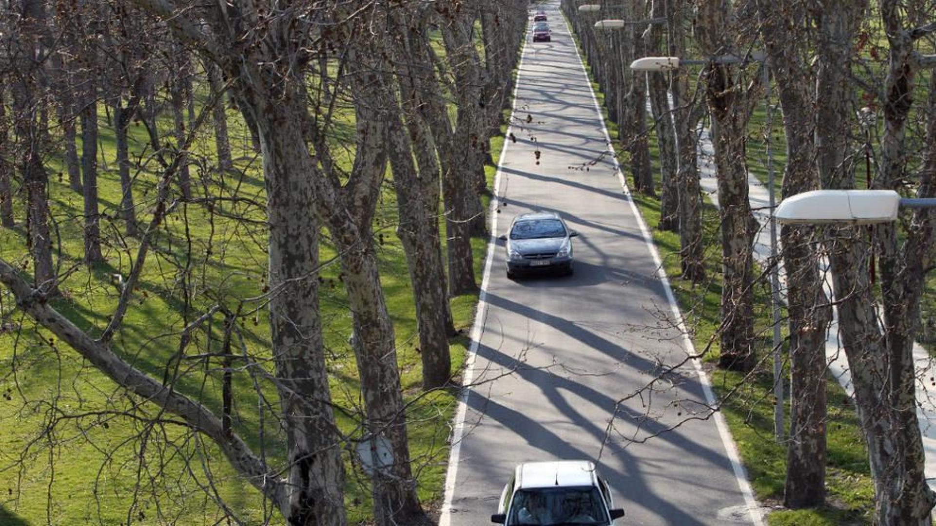 Un herido grave tras ser atropellado en la Carretera de la Universidad