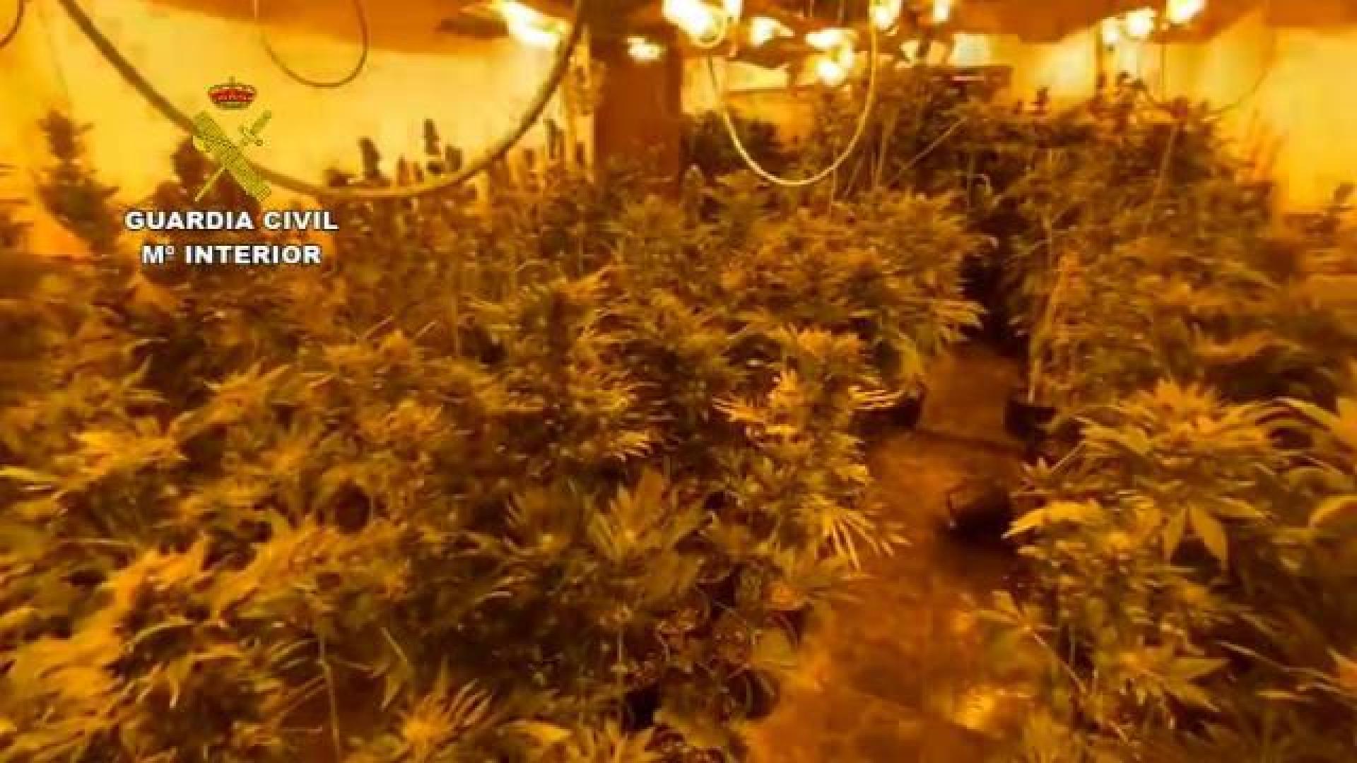 Detenidas 62 personas de una banda criminal dedicada al tráfico de drogas