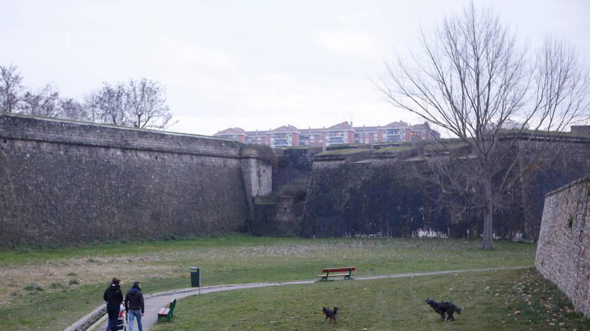 La revisión de los pipicanes abre la puerta a zonas sin correa en Pamplona