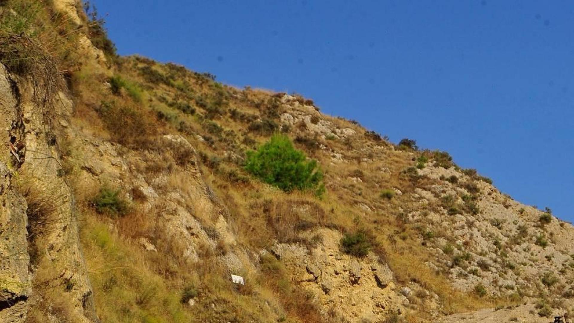 El Pilón de Falces, un lugar de encuentro