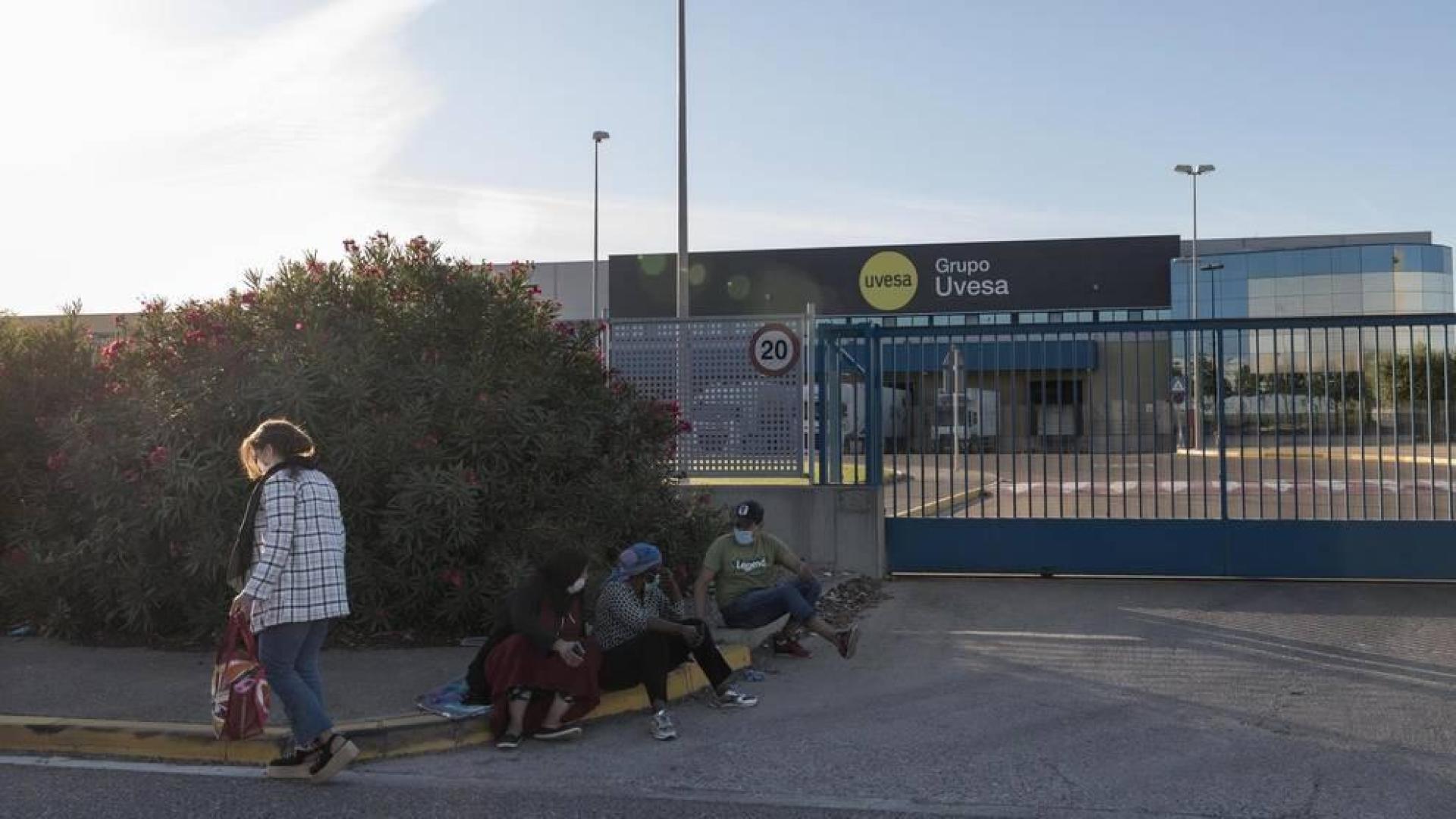 Entrada a la planta procesadora de UVESA en Tudela.