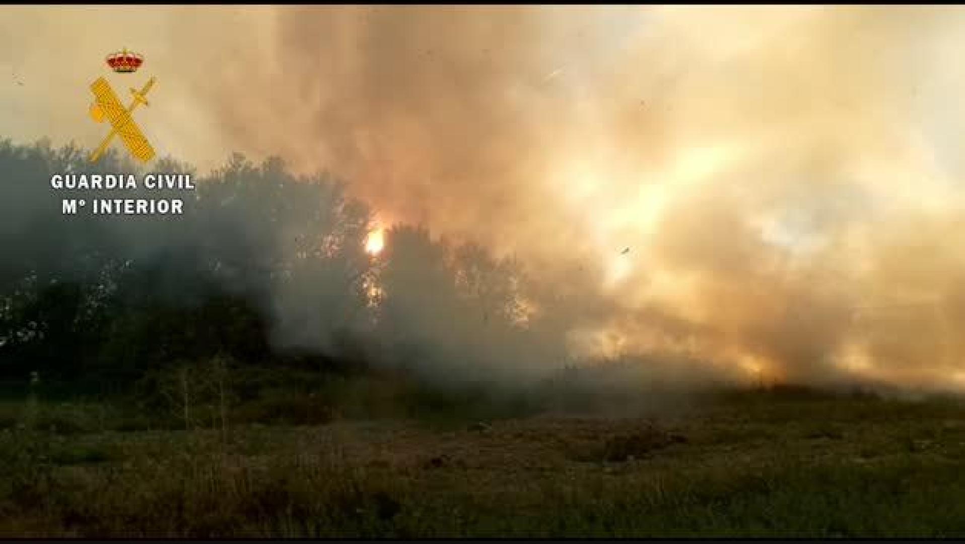 Vídeo de un incendio de arboleda en Santacara