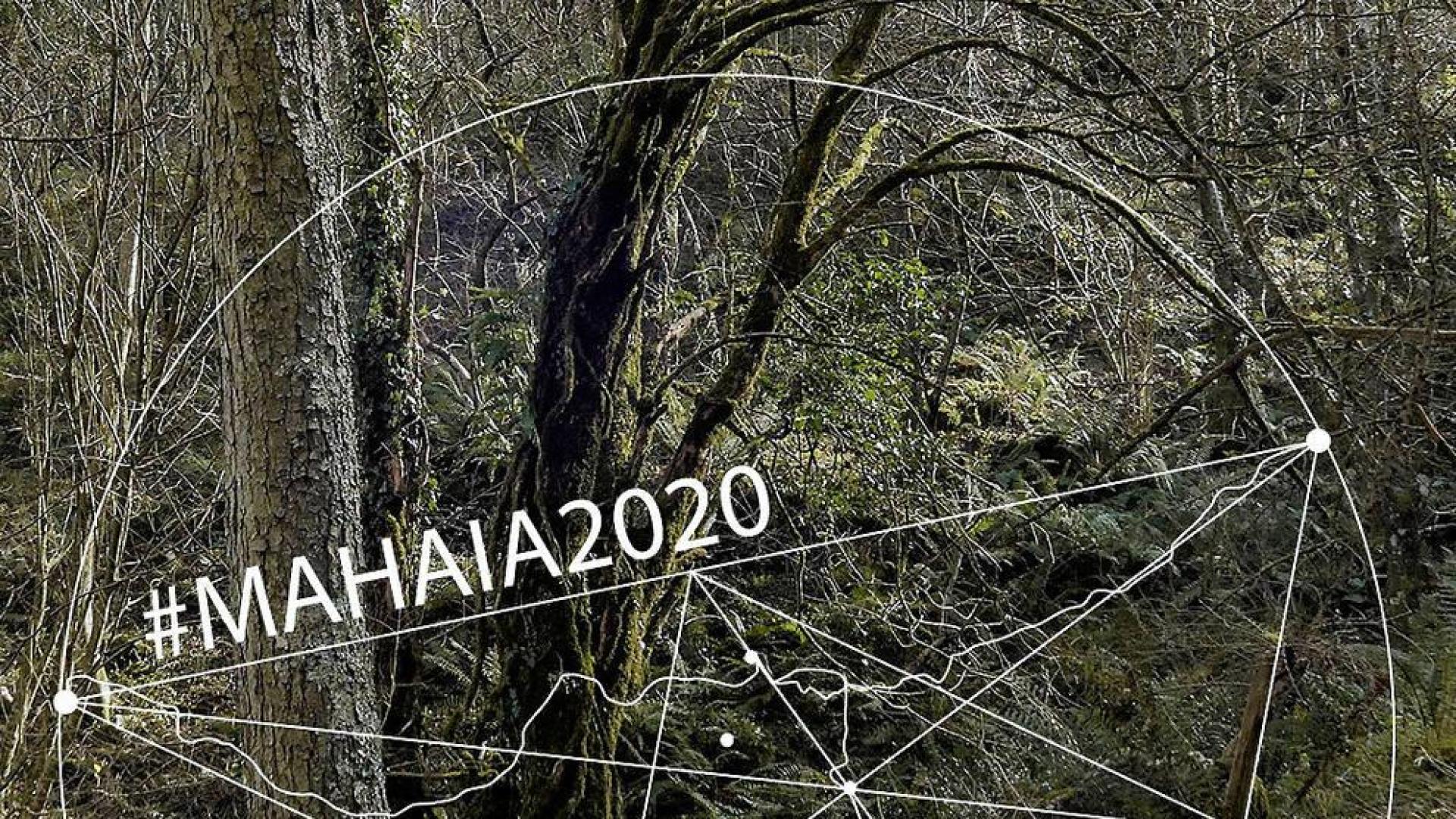 El Horno de la Ciudadela acoge de jueves a sábado tres encuentros culturales en torno a la exposición “#Mahaia2020”, que finaliza este próximo domingo