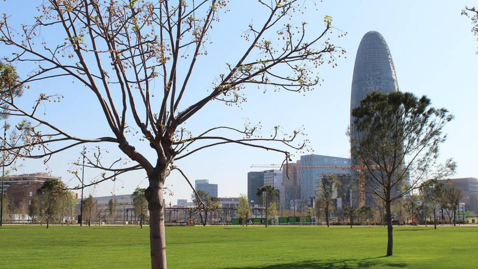 Llega a la Ciudad Condal este lunes el primer Summit Barcelona