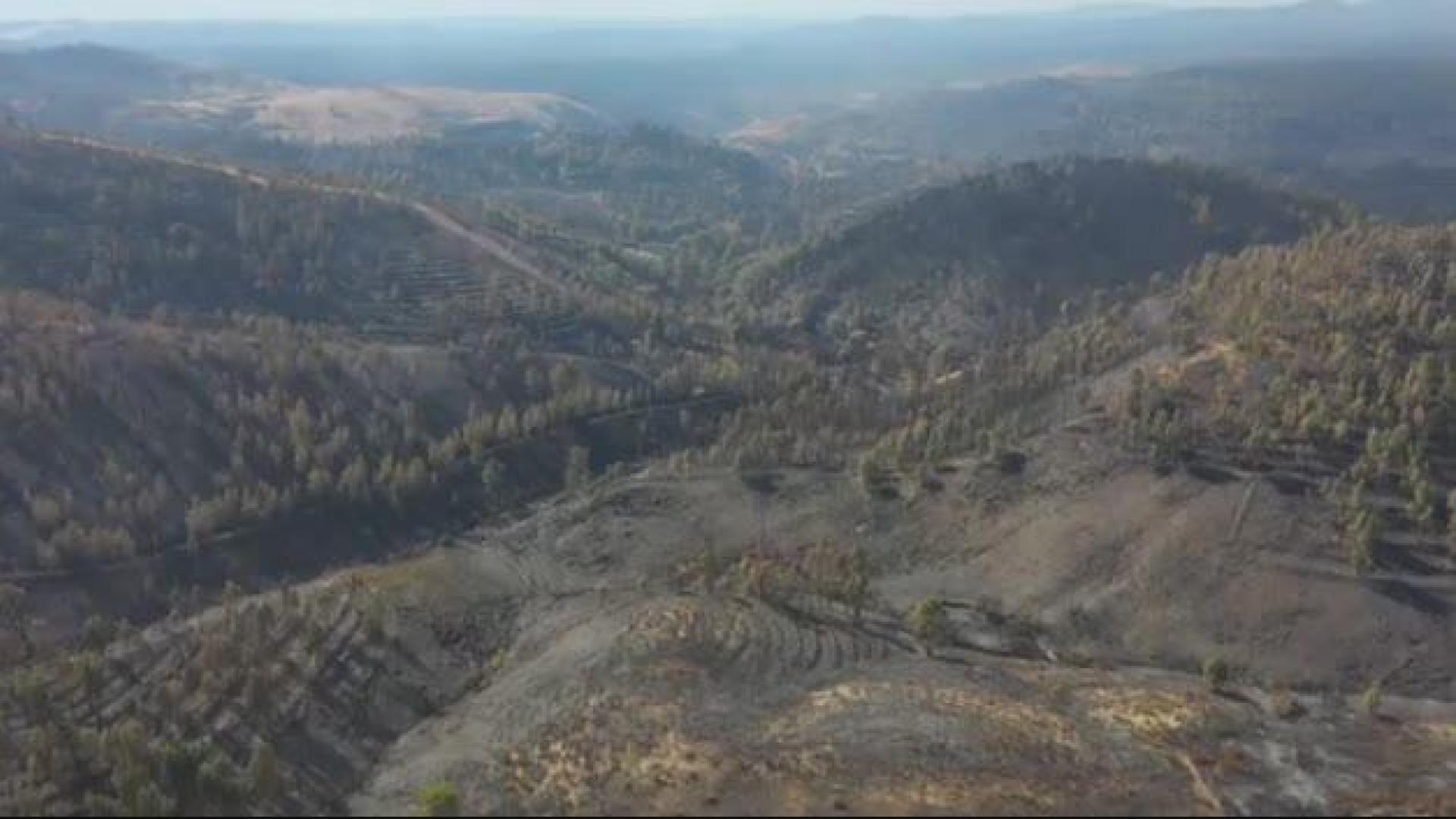 Vídeo: La destrucción del incendio en Huelva, a vista de pájaro
