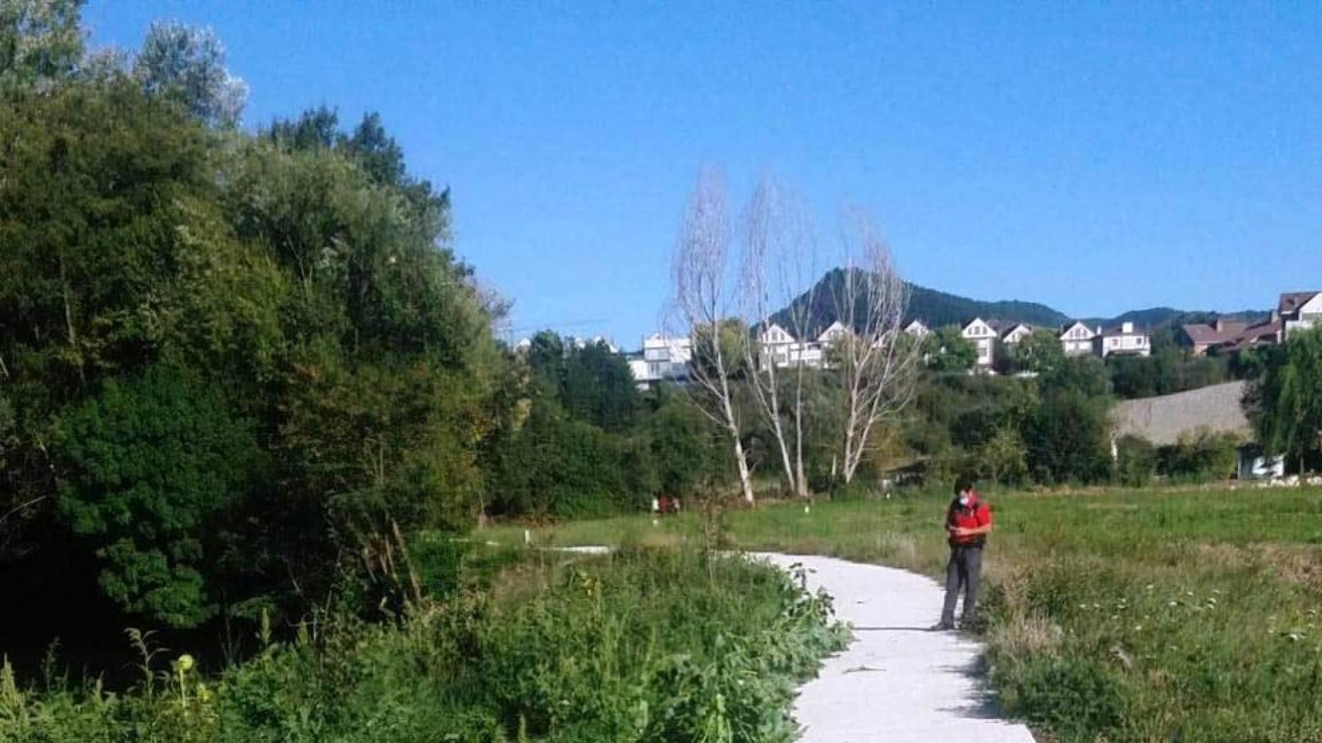 Policía Foral encuentra Estramonio, una planta alucinógena, entre Huarte y Olaz