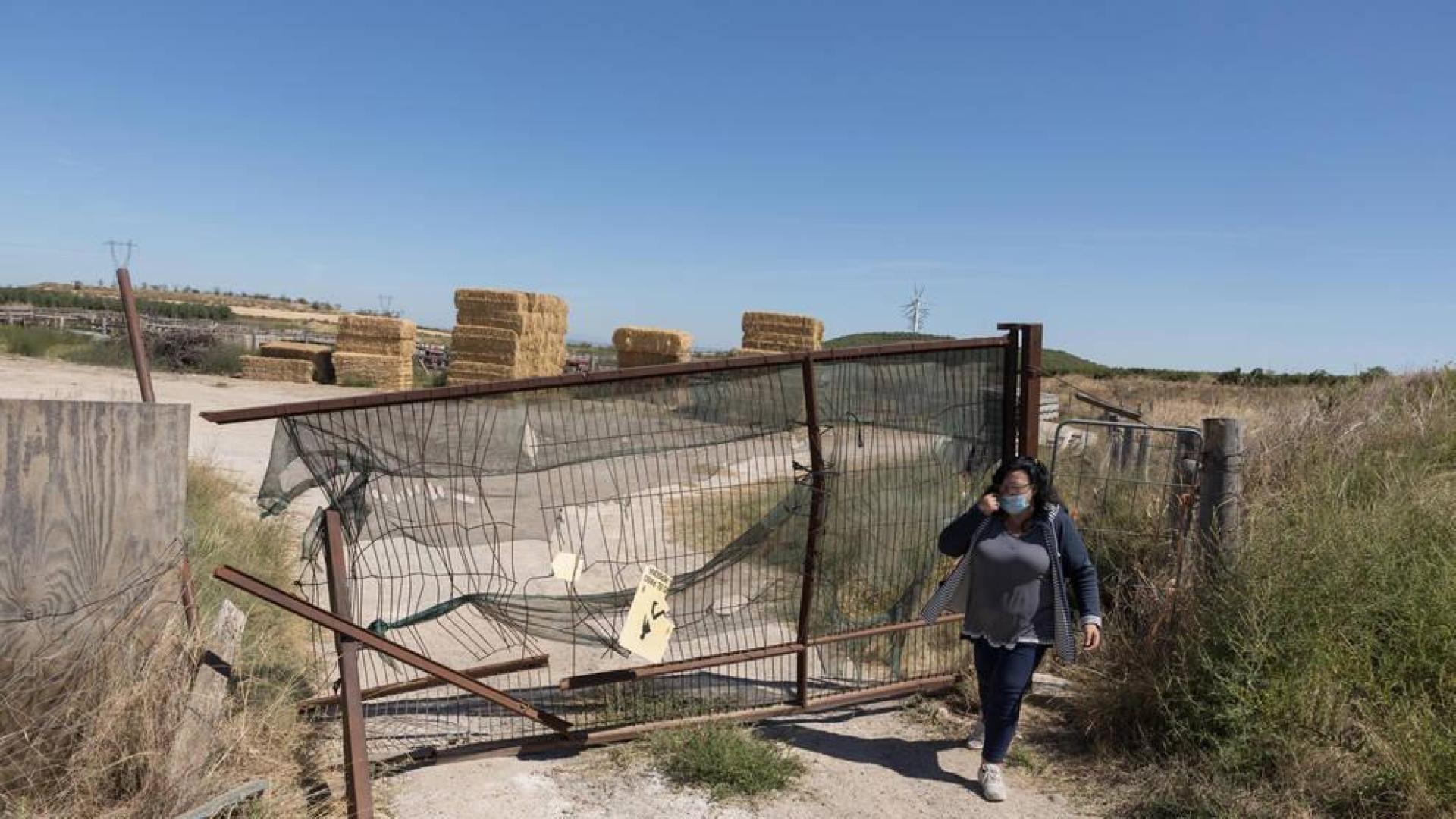 Denuncian el asalto a una ganadería para provocar la huida de sus toros