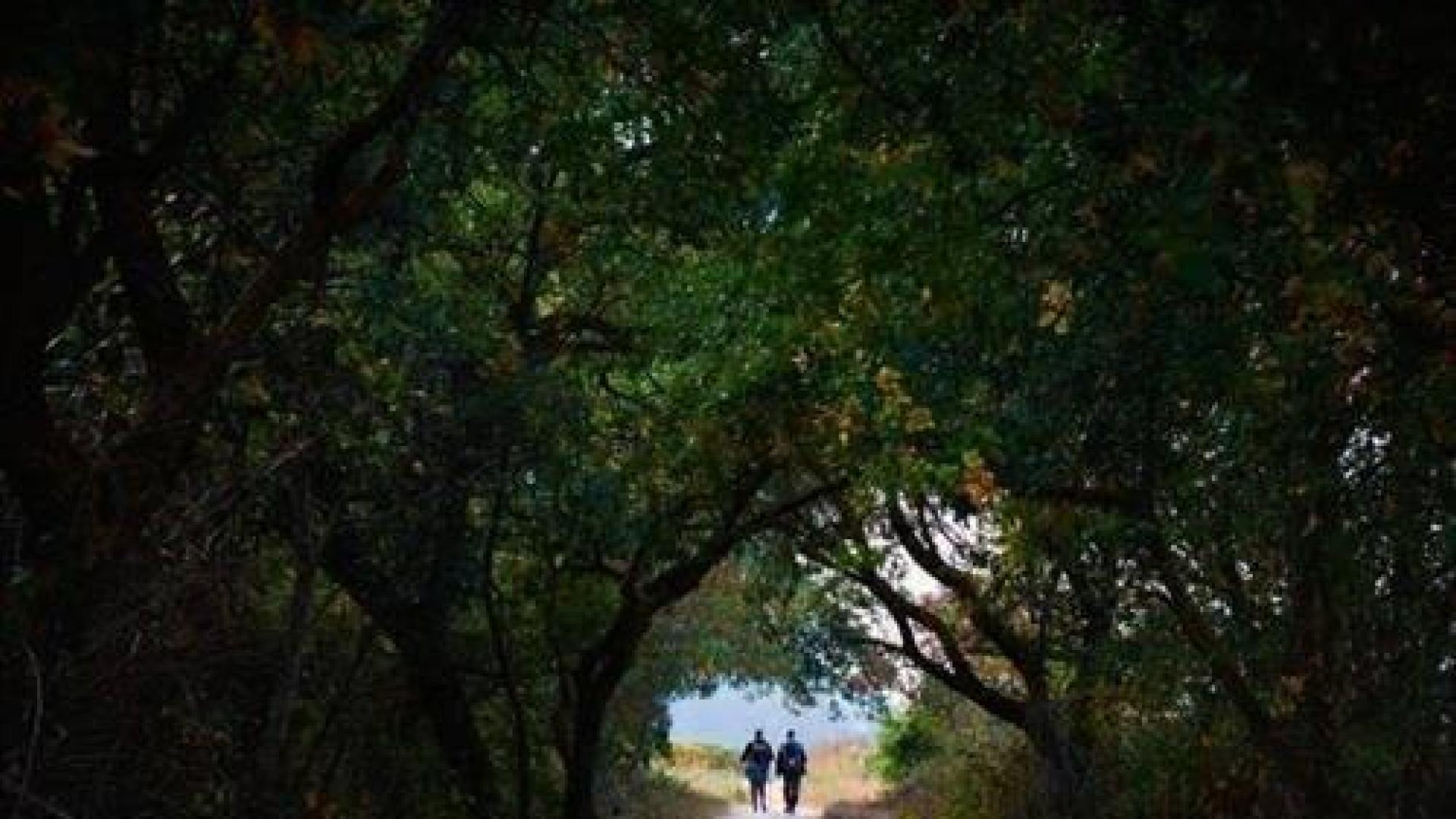 Una imagen tomada en Navarra, segundo premio del concurso 'Camino Sostenible'