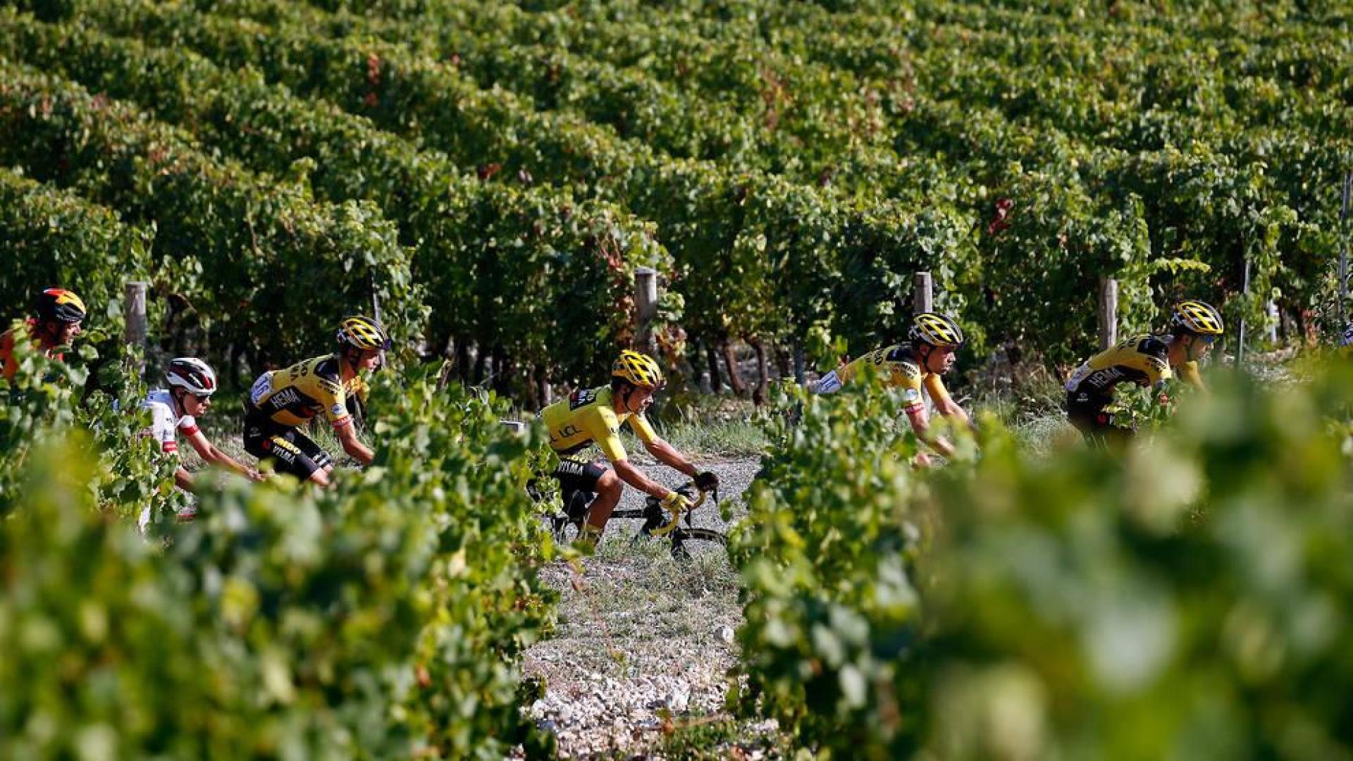 Ningún positivo por COVID-19 en la segunda semana del Tour de Francia