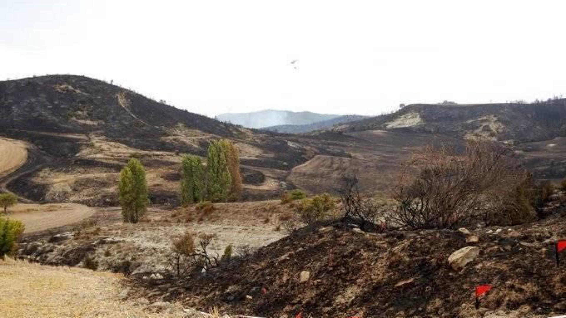 Efectivos de bomberos de Estella, Tafalla, Peralta, Cordovilla y Sangüesa, además de medios aéreos, están trabajando en un aparatoso incendio que se ha registrado la tarde de este jueves en un pinar de Javerri,