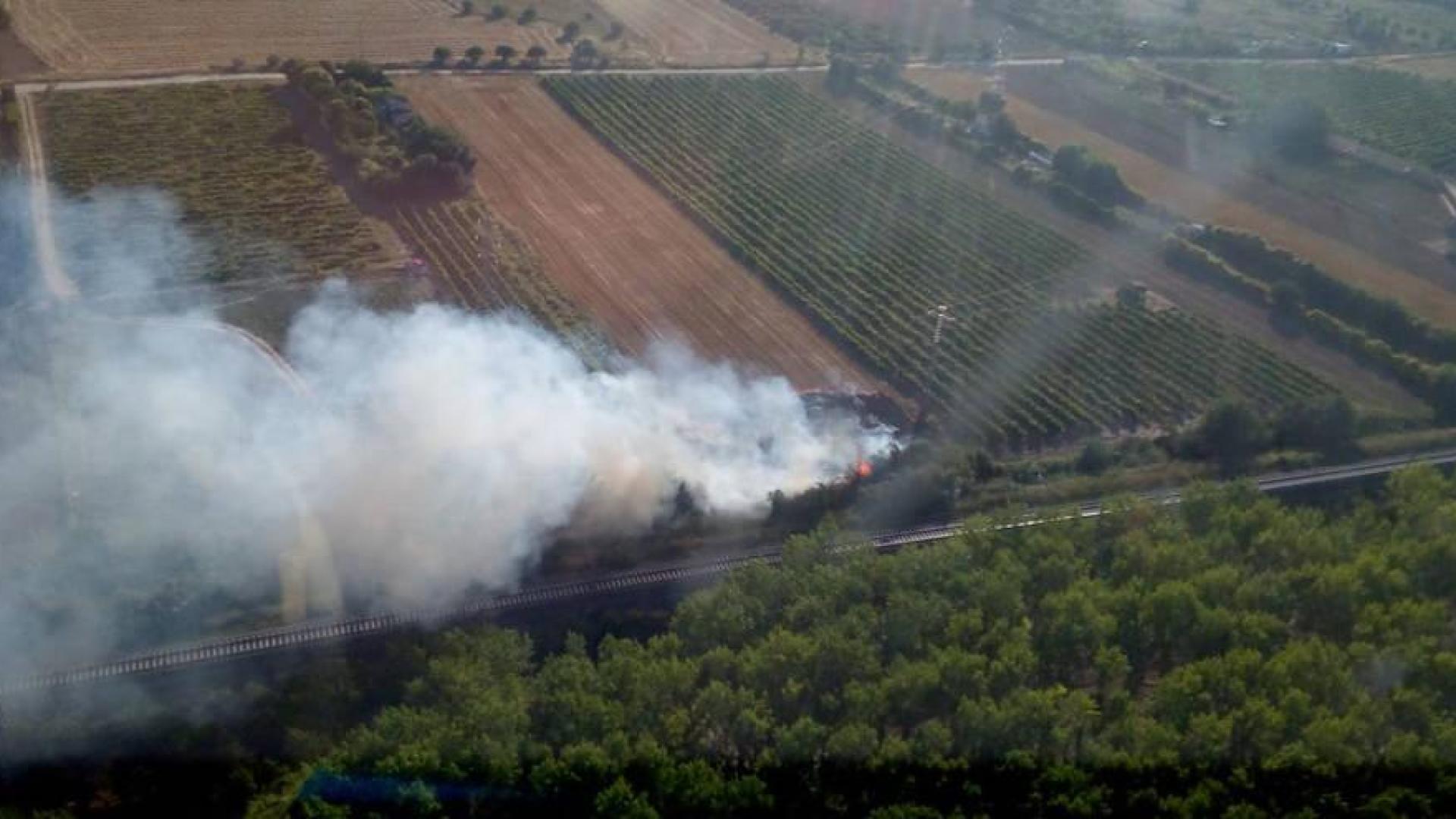 Los bomberos intervienen en pequeños fuegos en Olite, Tudela y Cintruenigo