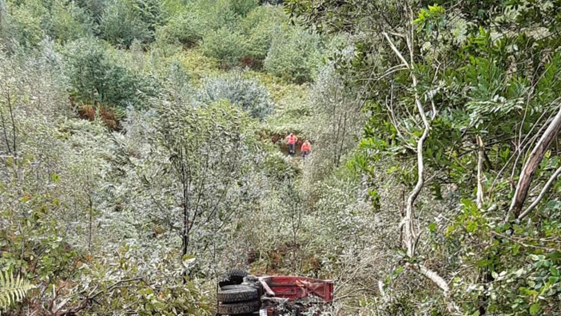 Un camionero, herido tras salirse de una pista y precipitarse 200 metros