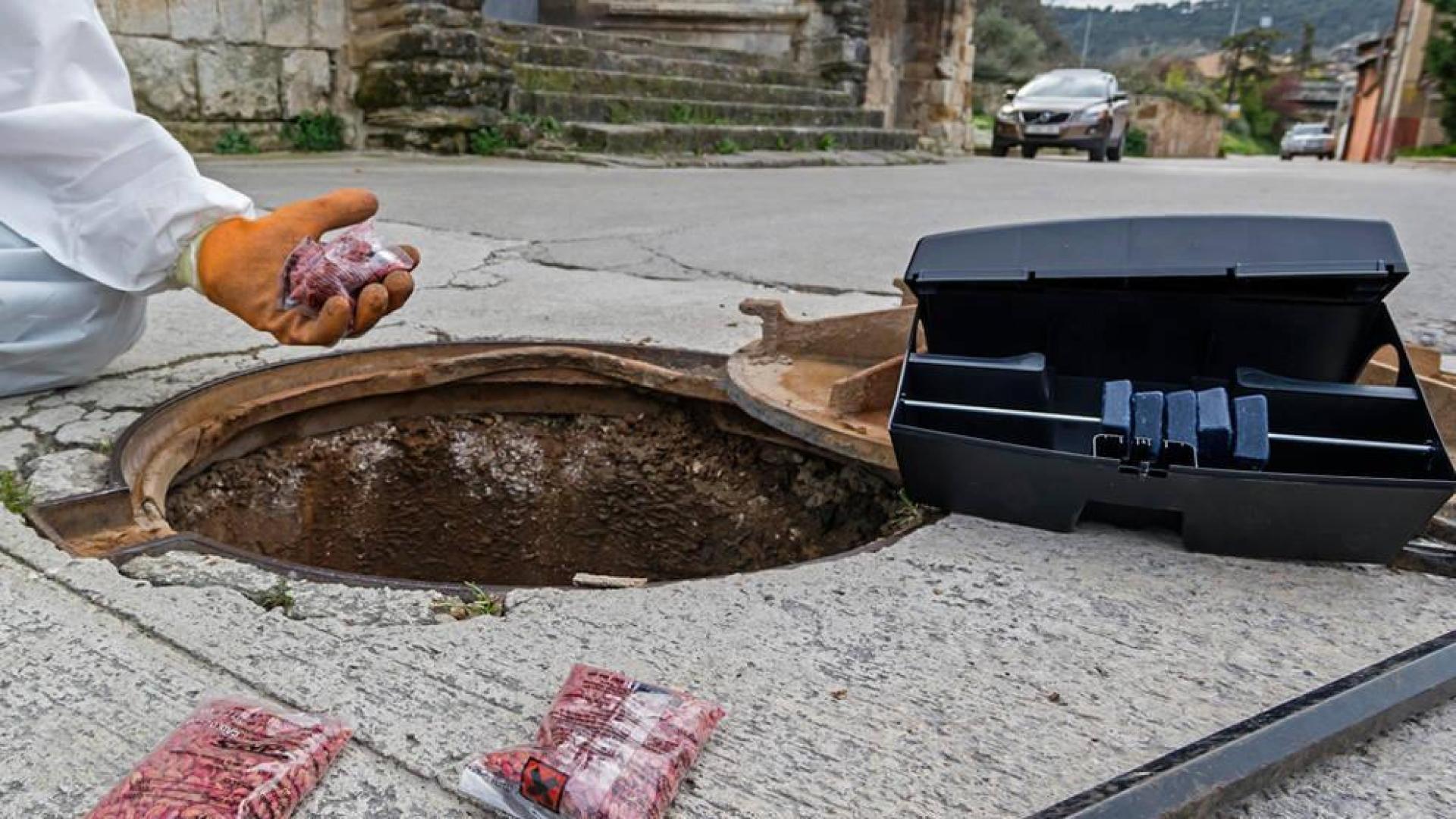 La desratización en Pamplona obliga a abrir 1.507 alcantarillas