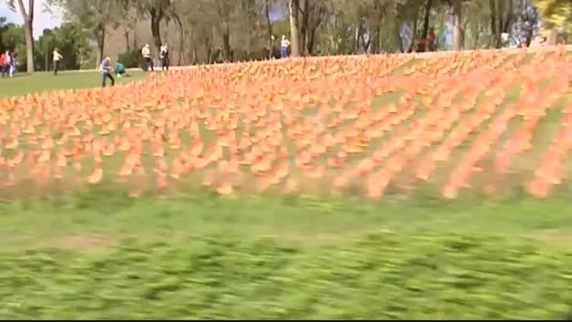 Colocan 53.000 banderas de España en un parque de Madrid por las víctimas del COVID-19