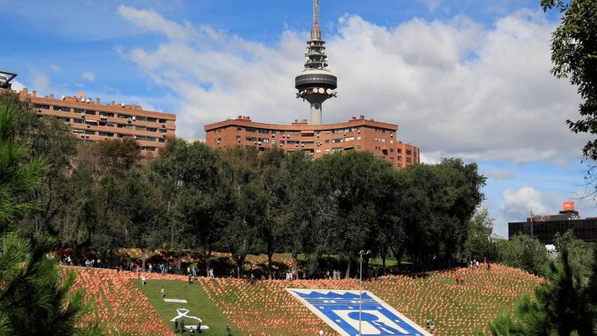 Fotografía banderas españolas en parque Madrid