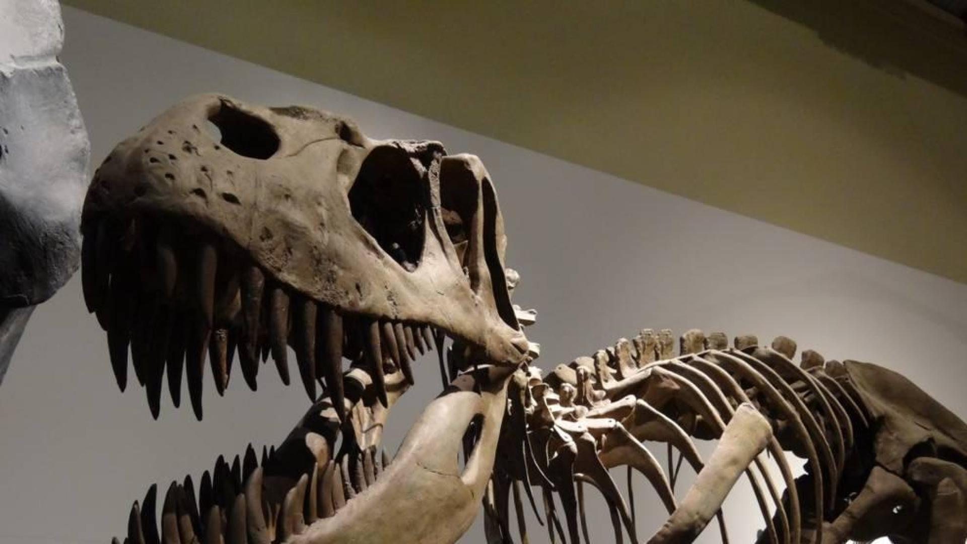 Del elefante al dinosaurio; tiempos heroicos para la ciencia