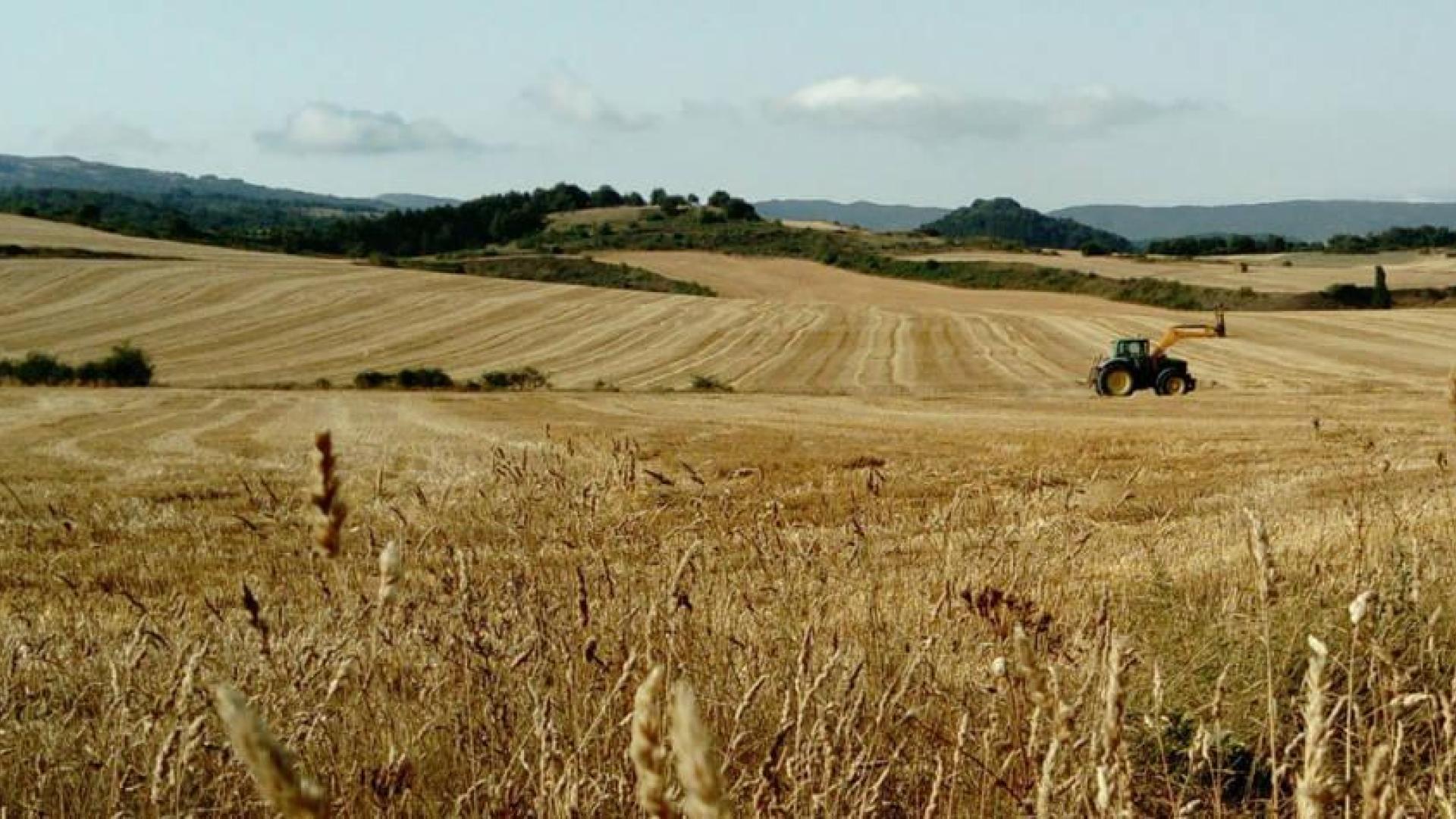 El verano, retratados por los lectores de Diario de Navarra