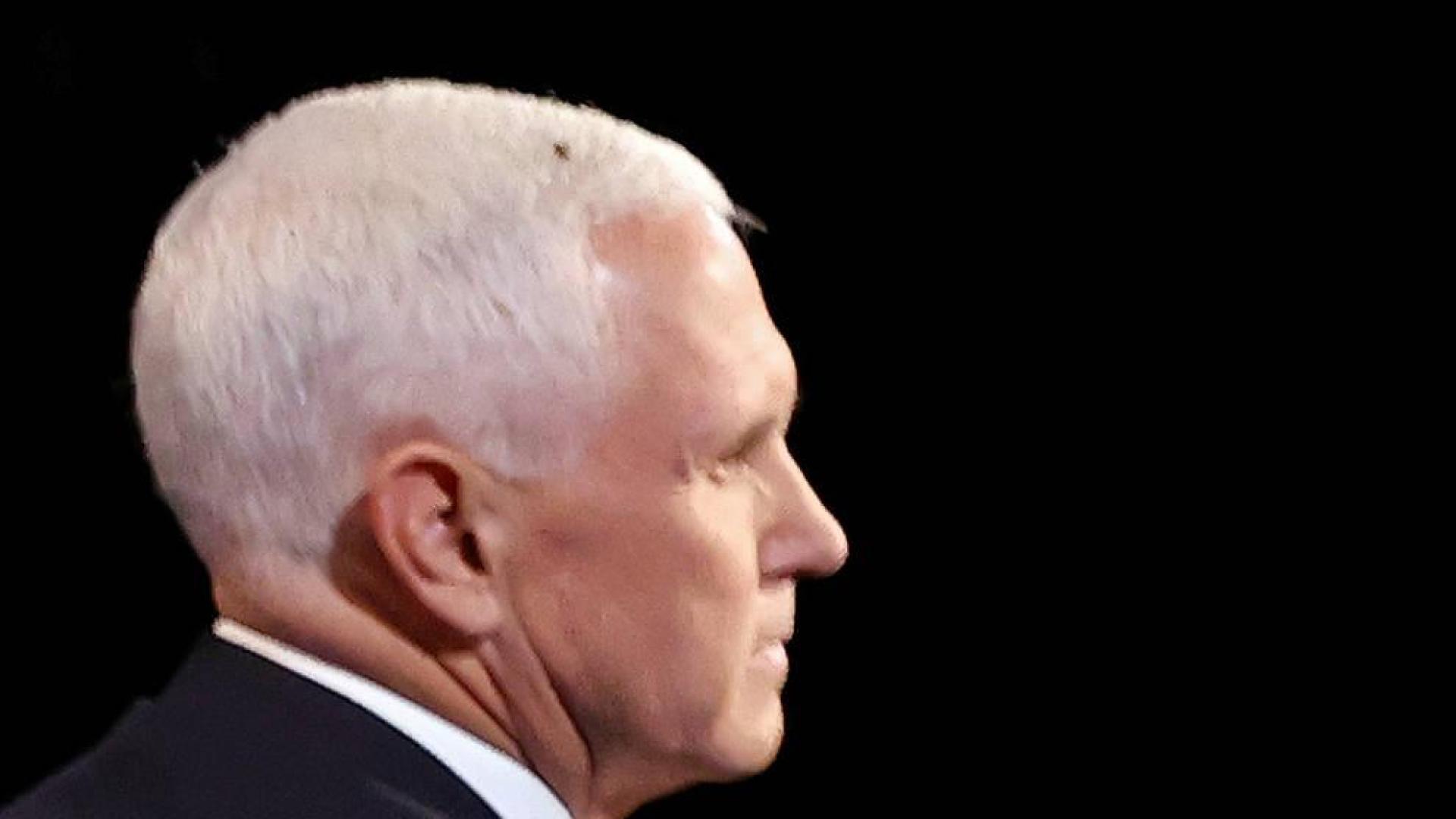 Una mosca, la invitada no deseada del debate Pence-Harris que se hizo viral