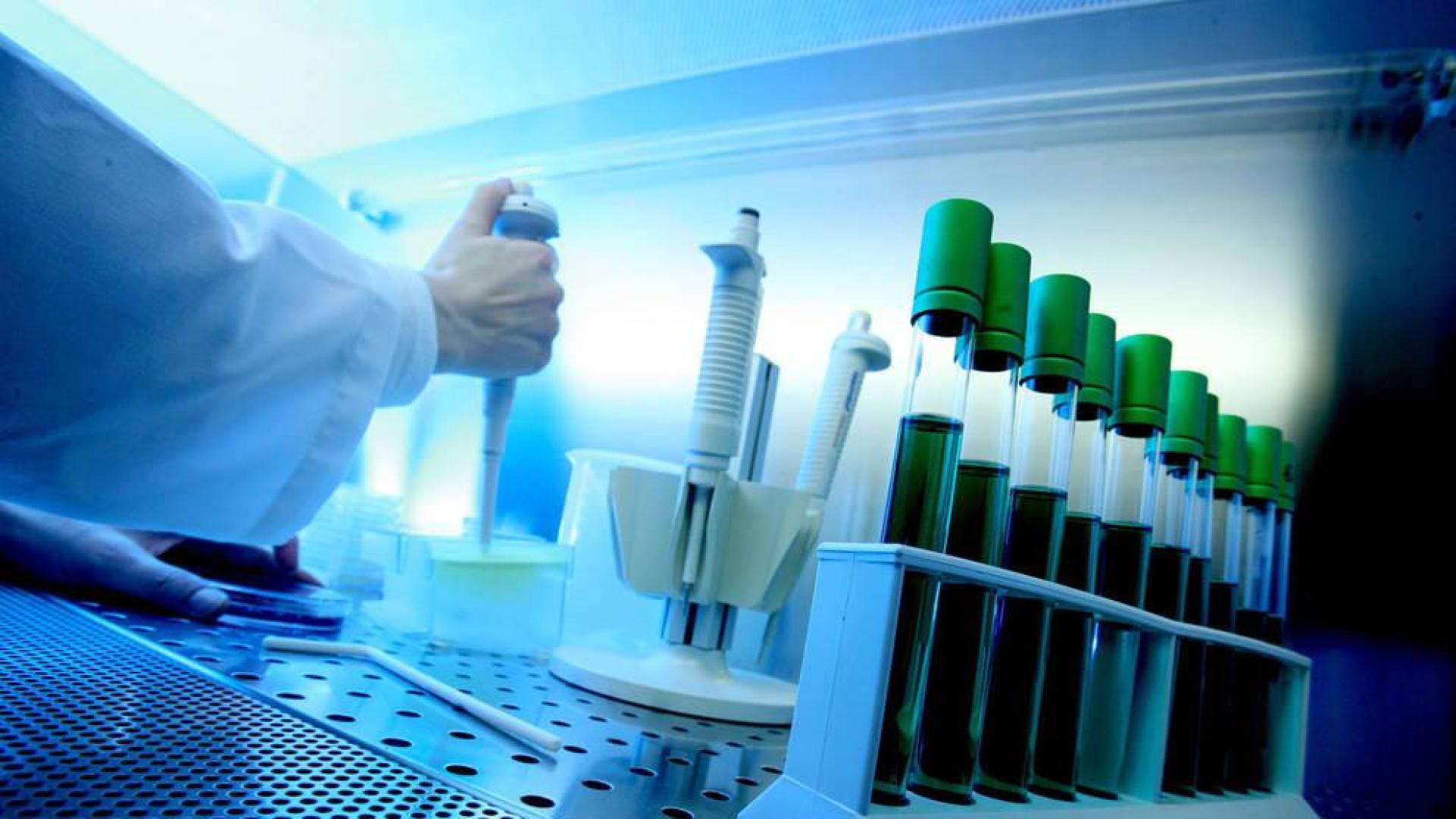 Desarrollan una nueva vacuna terapéutica para tratar la leucemia