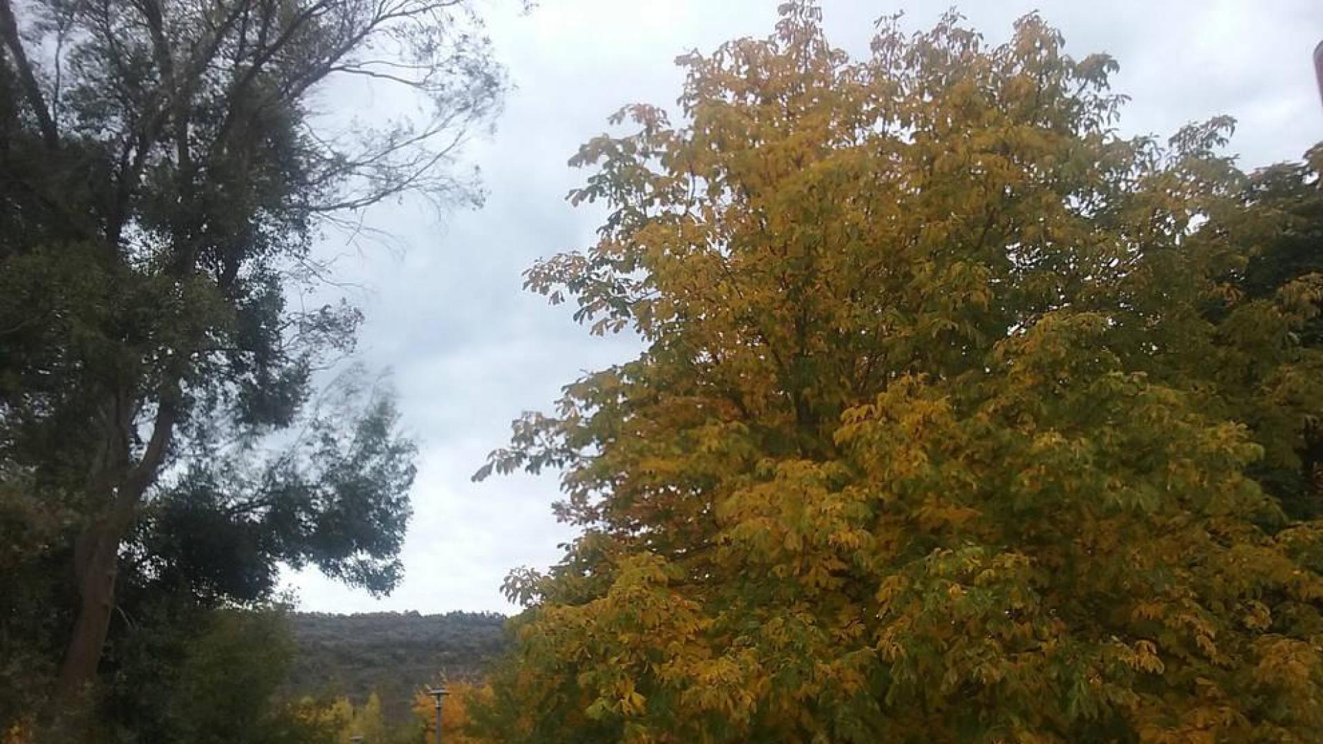 Fin de semana templado, con nubes y claros y algún chubasco el domingo