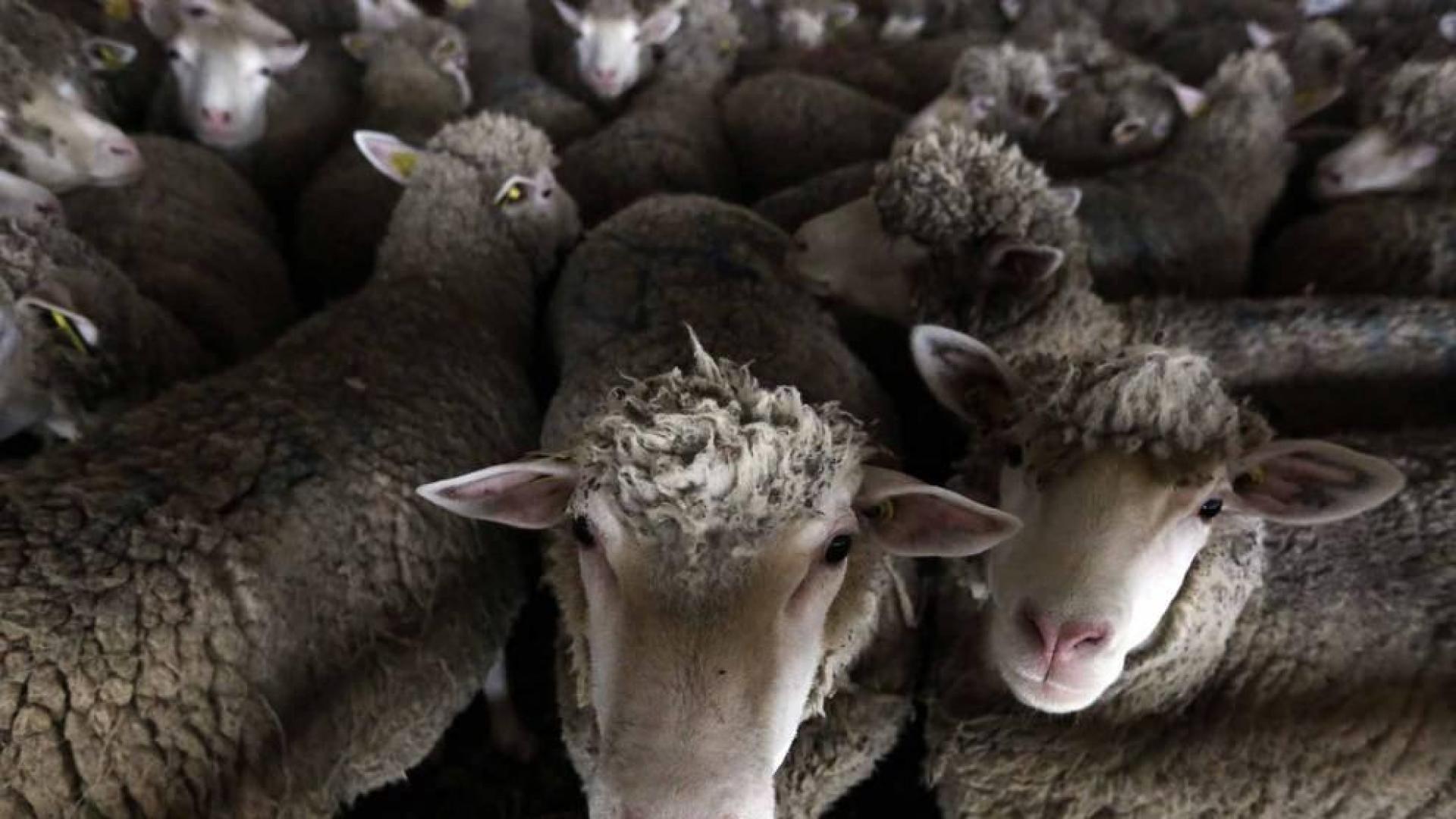 Las imágenes más llamativas de las últimas horas