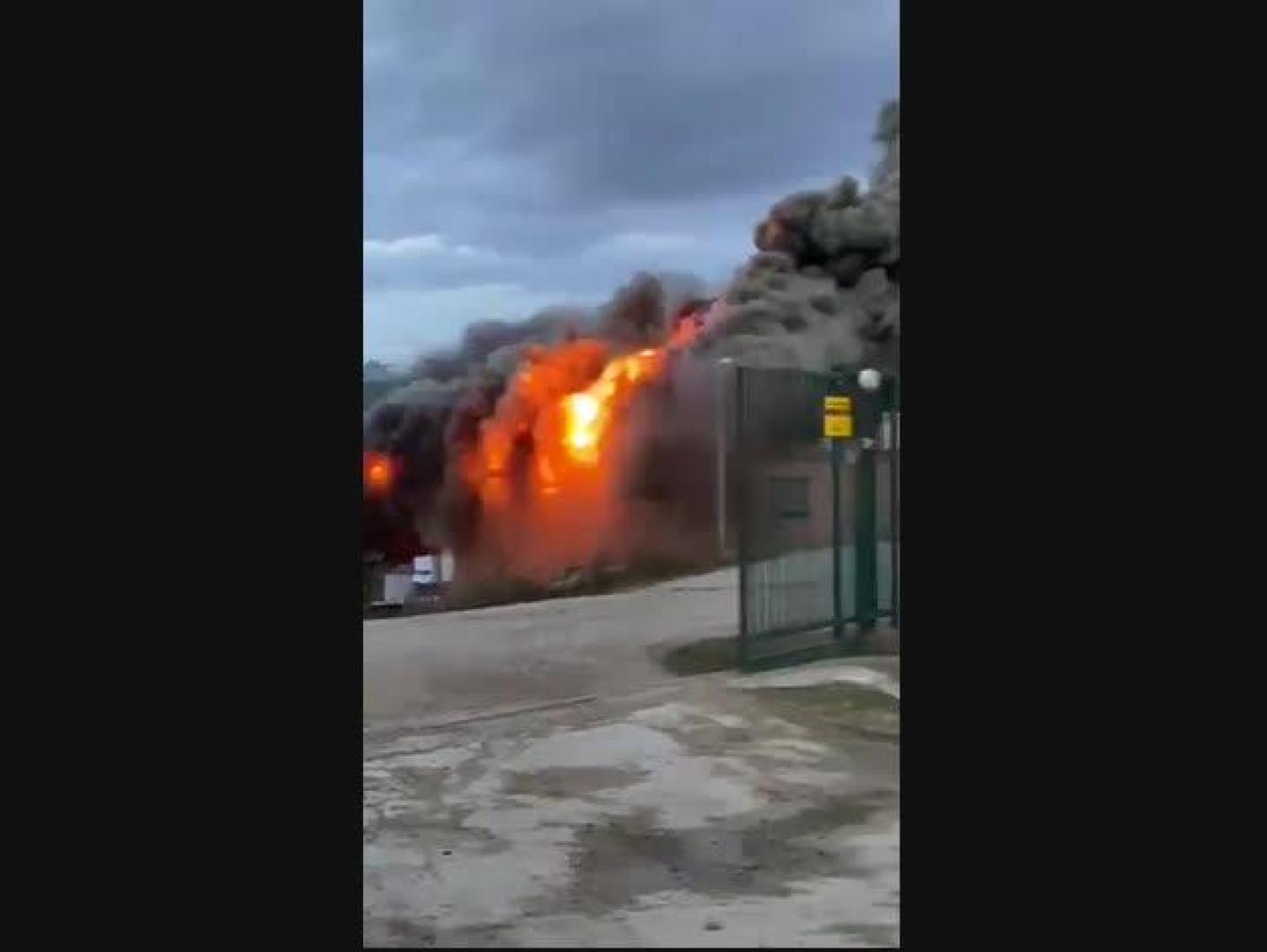 Incendio en una granja de cerdos en Sesma