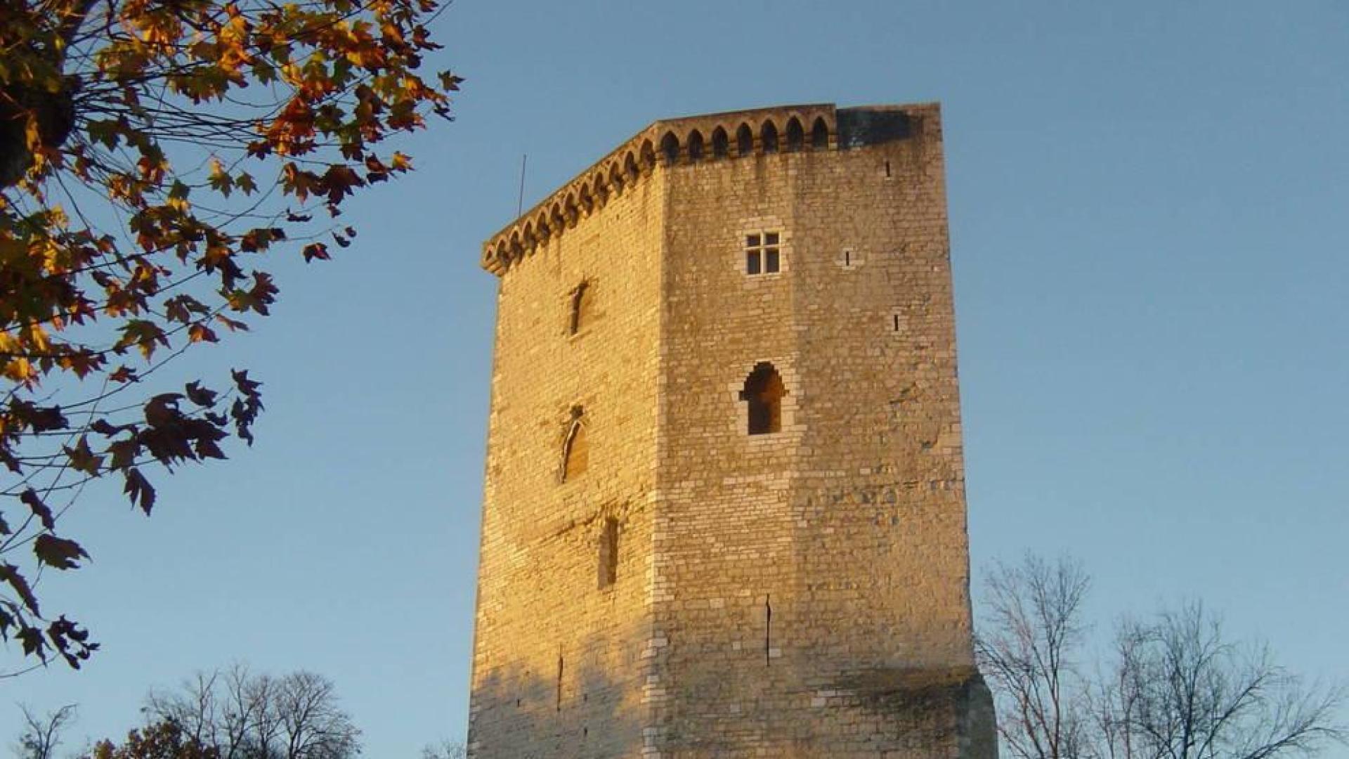 Agnès de Navarra, la historia de un repudio incomprensible (I)