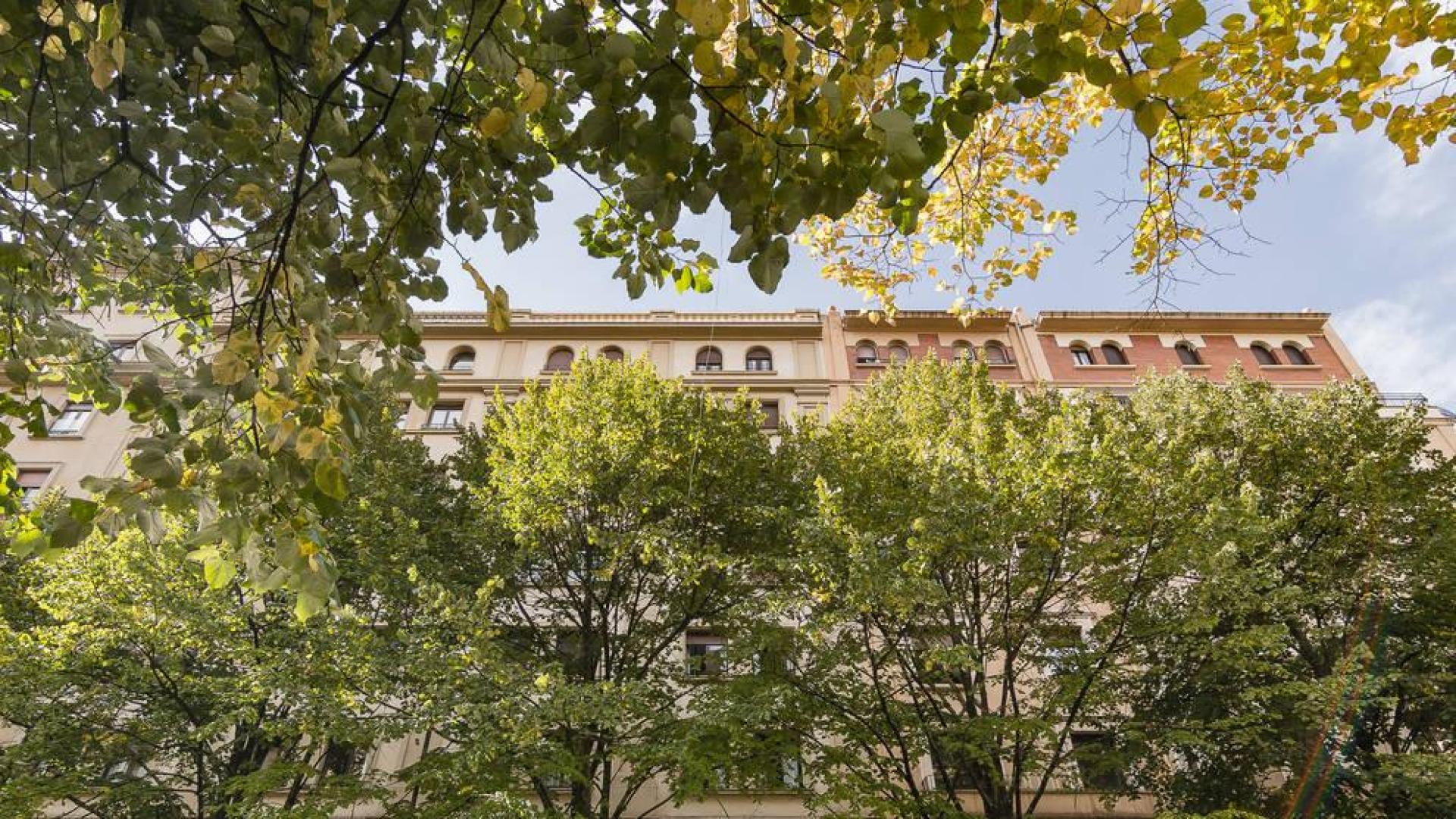 CARLOS III: La mejor opción para reformar en pleno II Ensanche