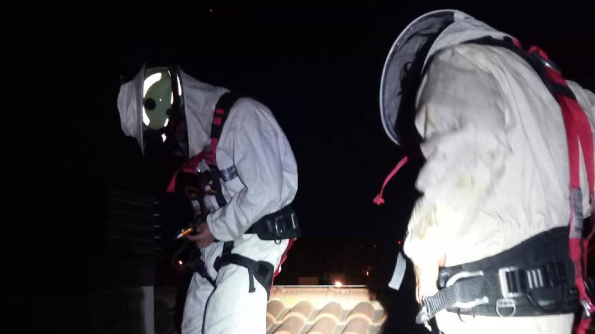 Los bomberos se preparan para extraer el panal.