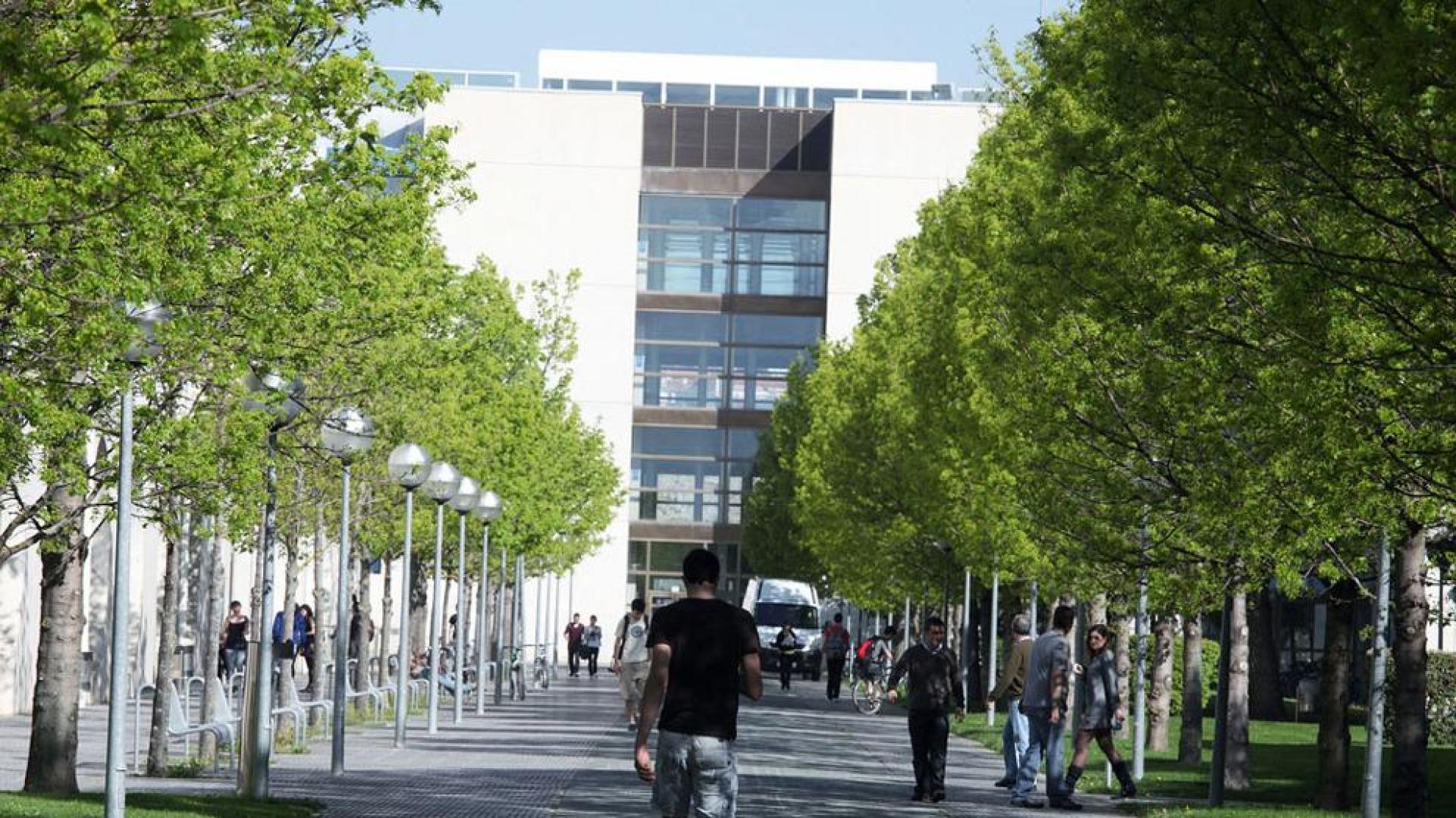 La crisis fuerza a más universitarios noveles a aprobar todo a la primera