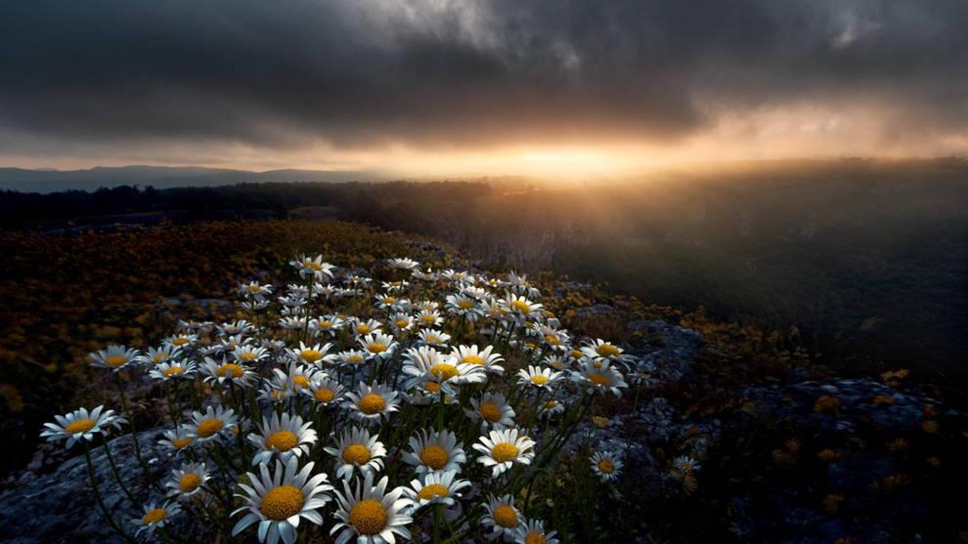 Fotografía 'Brechas de luz' ganadora popular de Paisajes 2020.
