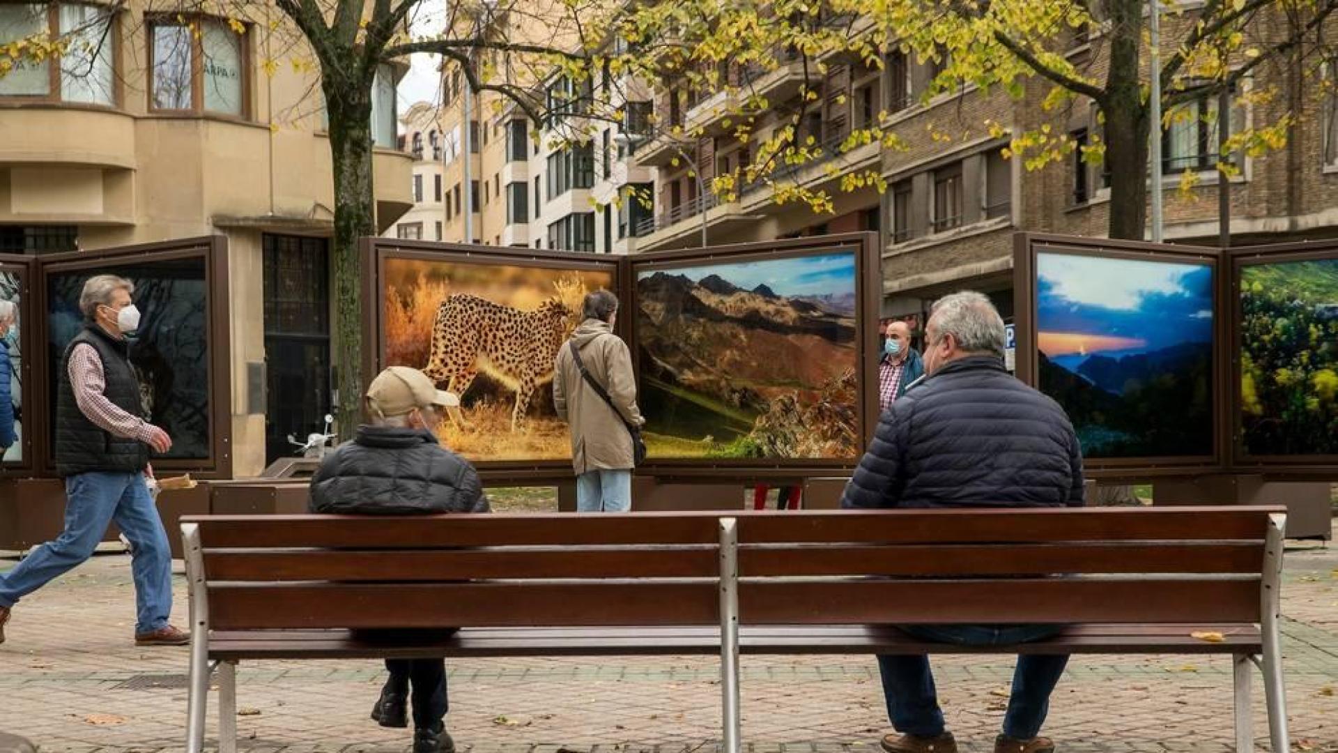 Una gota de color en Pamplona
