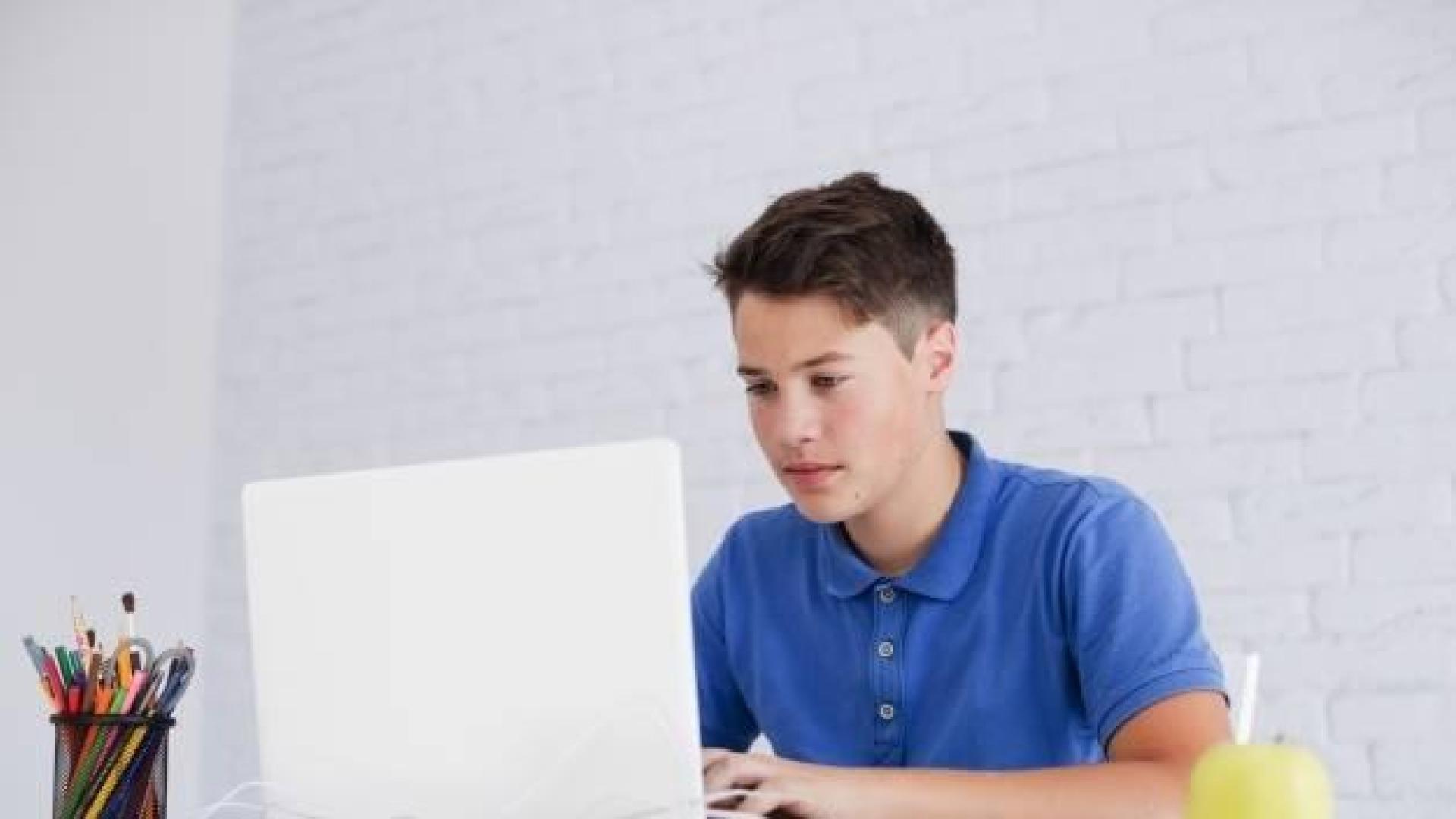 Imagen de un joven estudiando en casa