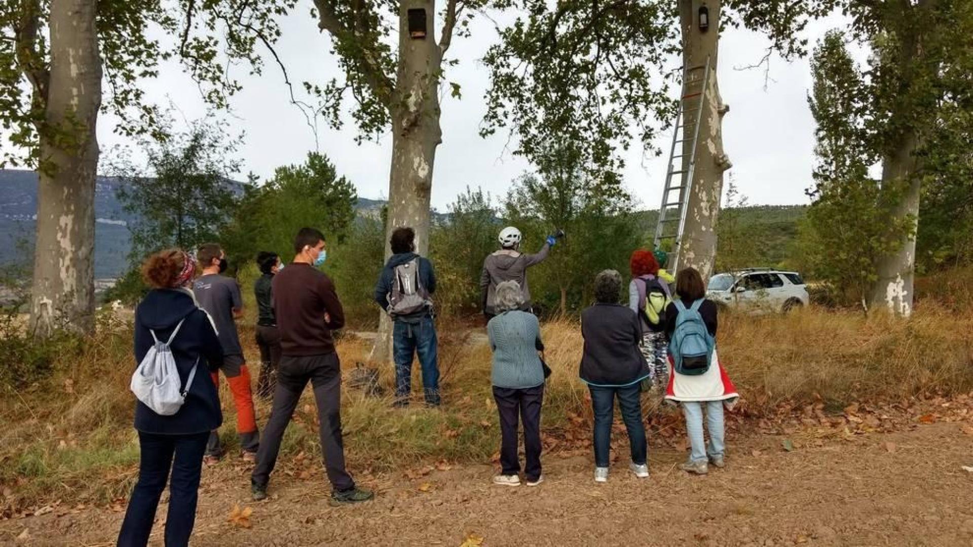 Sangüesa se acerca a sus murciélagos