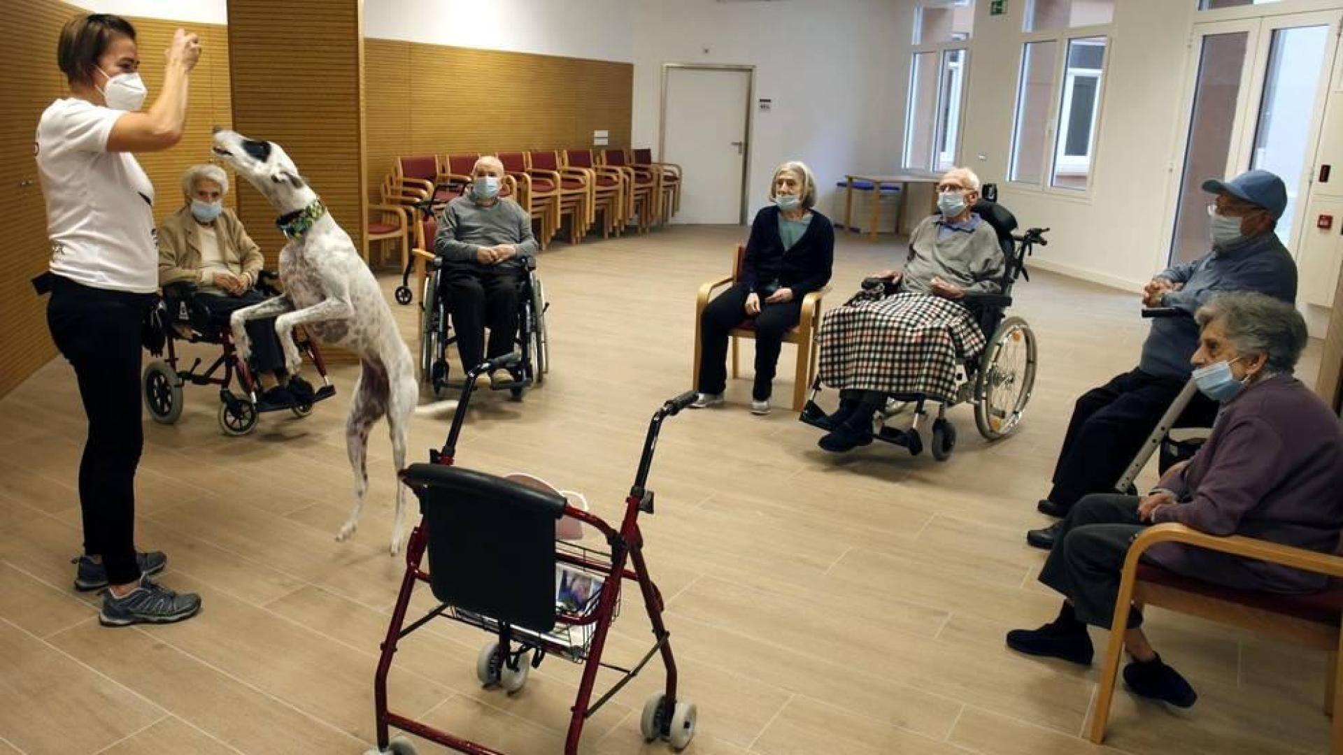 Un día en la residencia de la Misericordia.