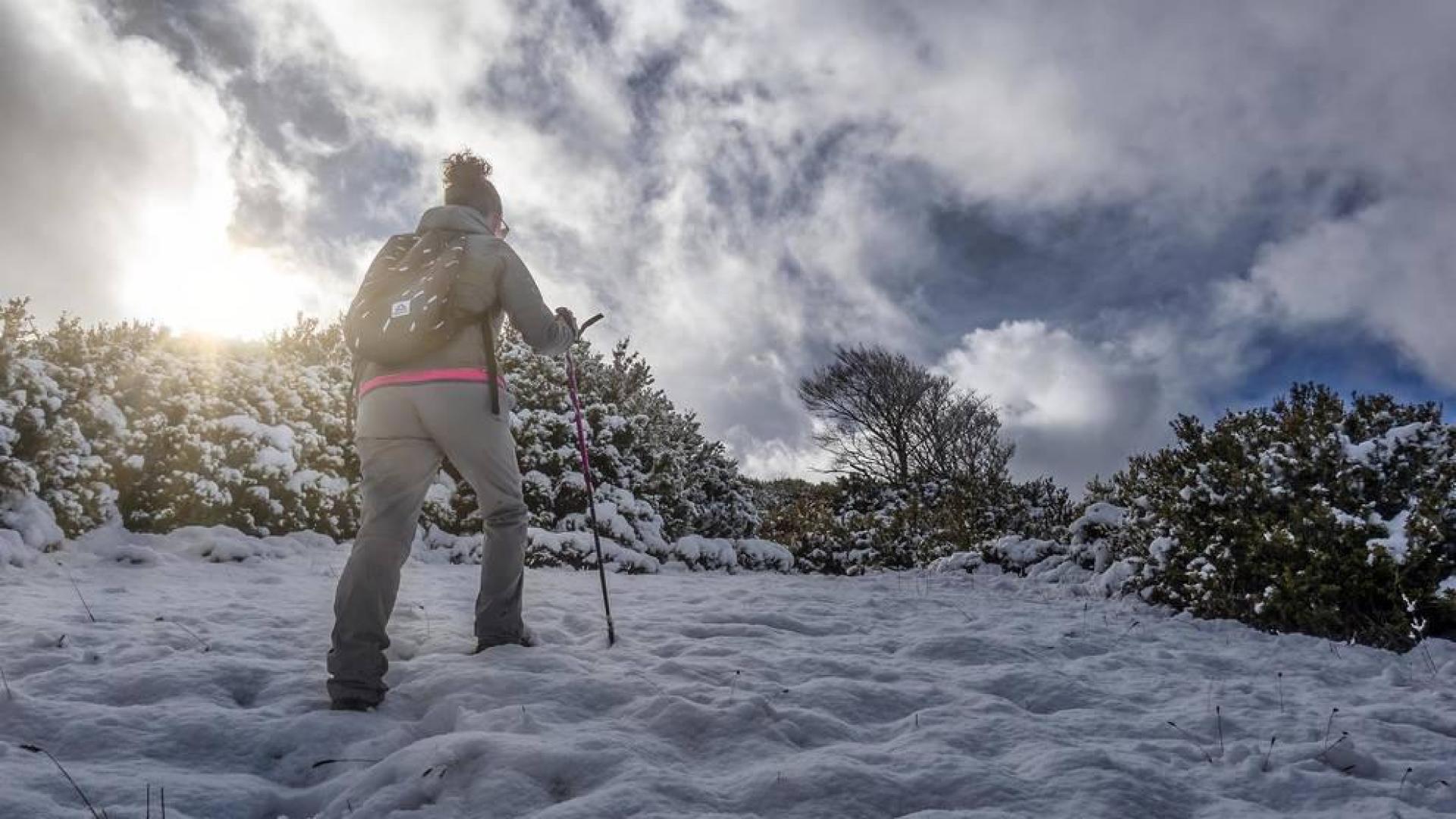 Municipios del Pirineo navarro amanecen con la primera nevada de la temporada