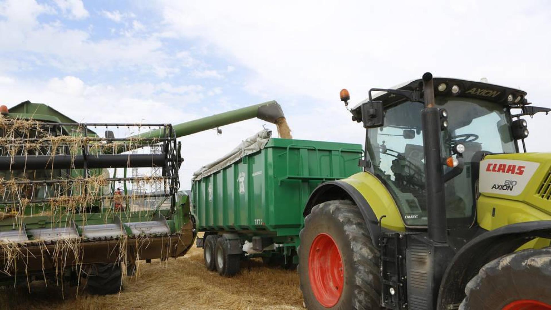 Cosecha de cereal: rica en la Cuenca de Pamplona y mísera en la Ribera