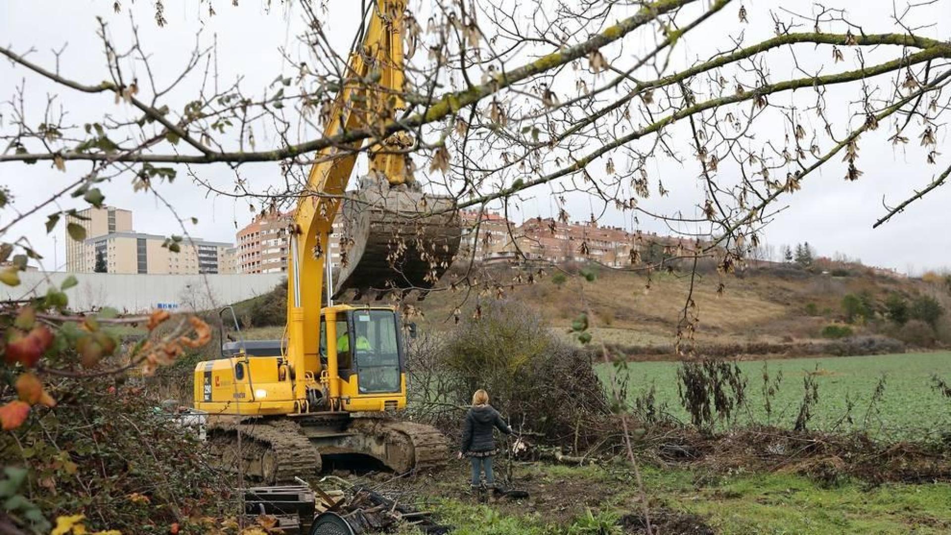 El Ayuntamiento de Pamplona elimina 13 cultivos ilegales situados sobre un viario público