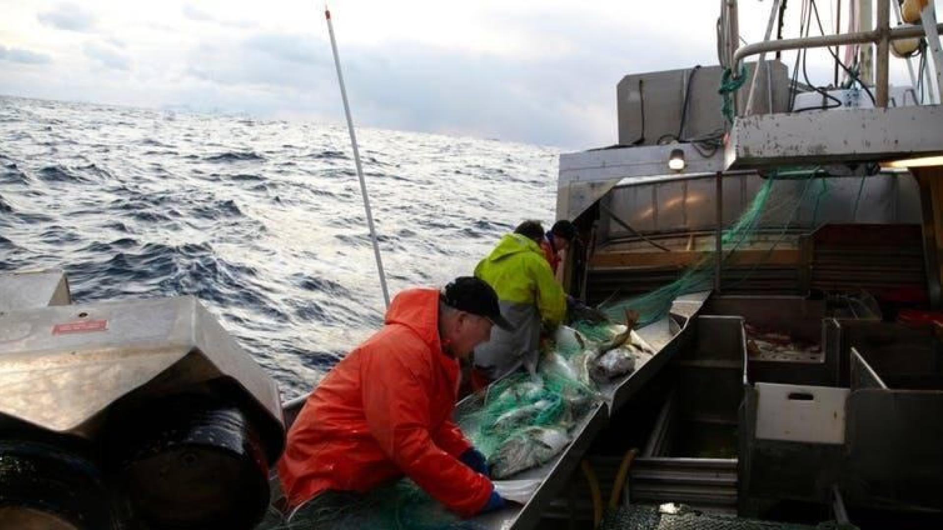 El origen de la circulación marina y nuestro gusto por el bacalao