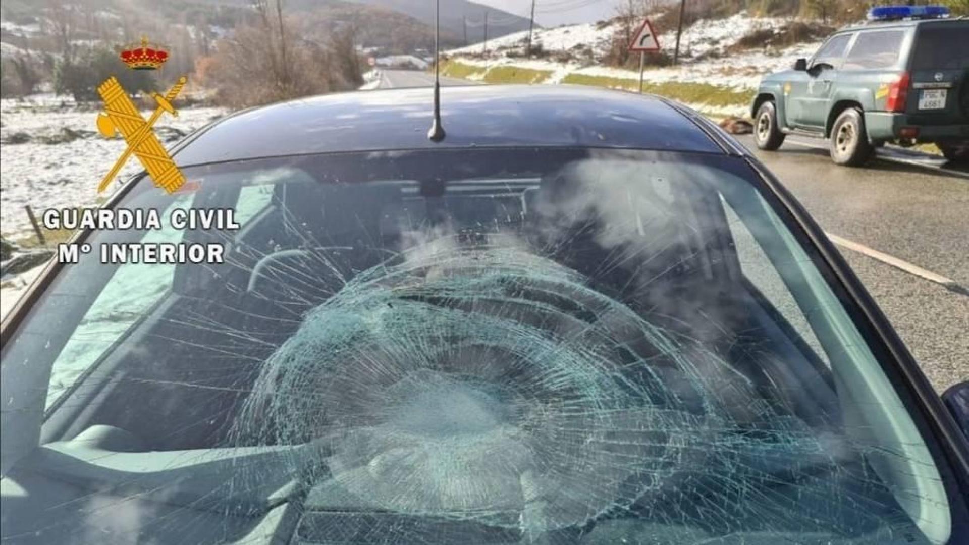 La Guardia Civil atiende una colisión de un coche con un corzo