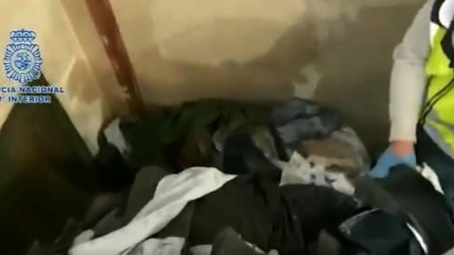 Localizan un zulo en una empresa textil donde explotaban a inmigrantes