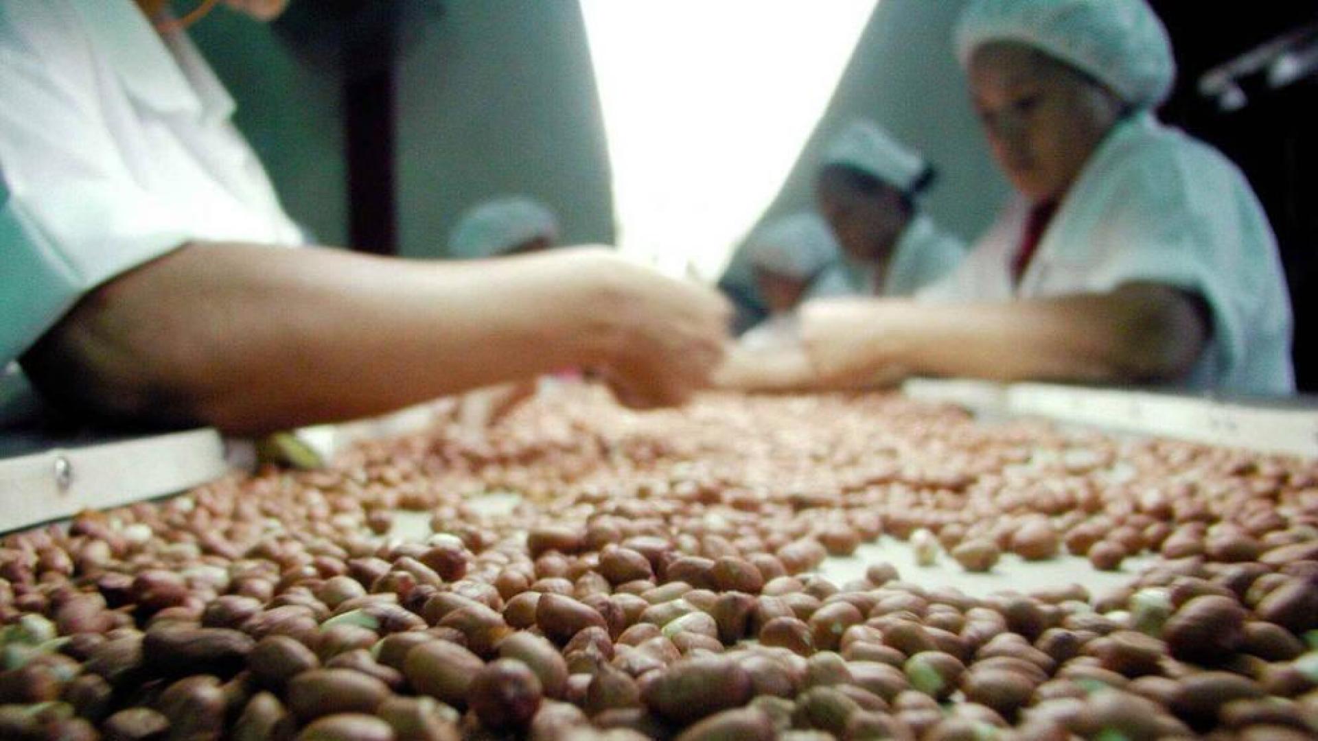 La CUN y el CHN, juntos en un ensayo clínico contra la alergia al cacahuete