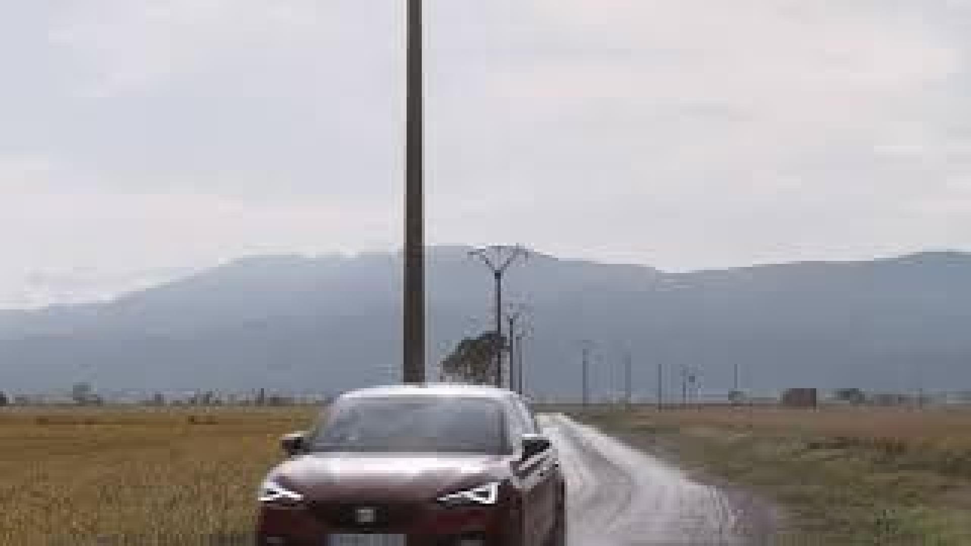 Seat Leon arroz