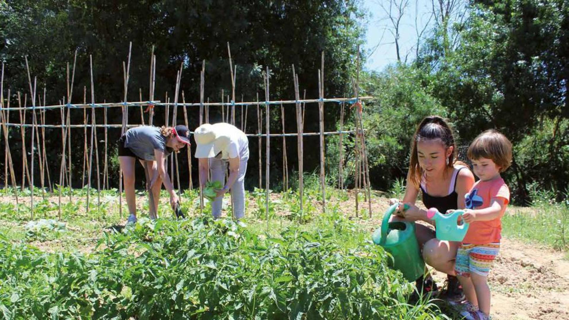 Un año para acordarse de los cuidados en la Mancomunidad de Valdizarbe