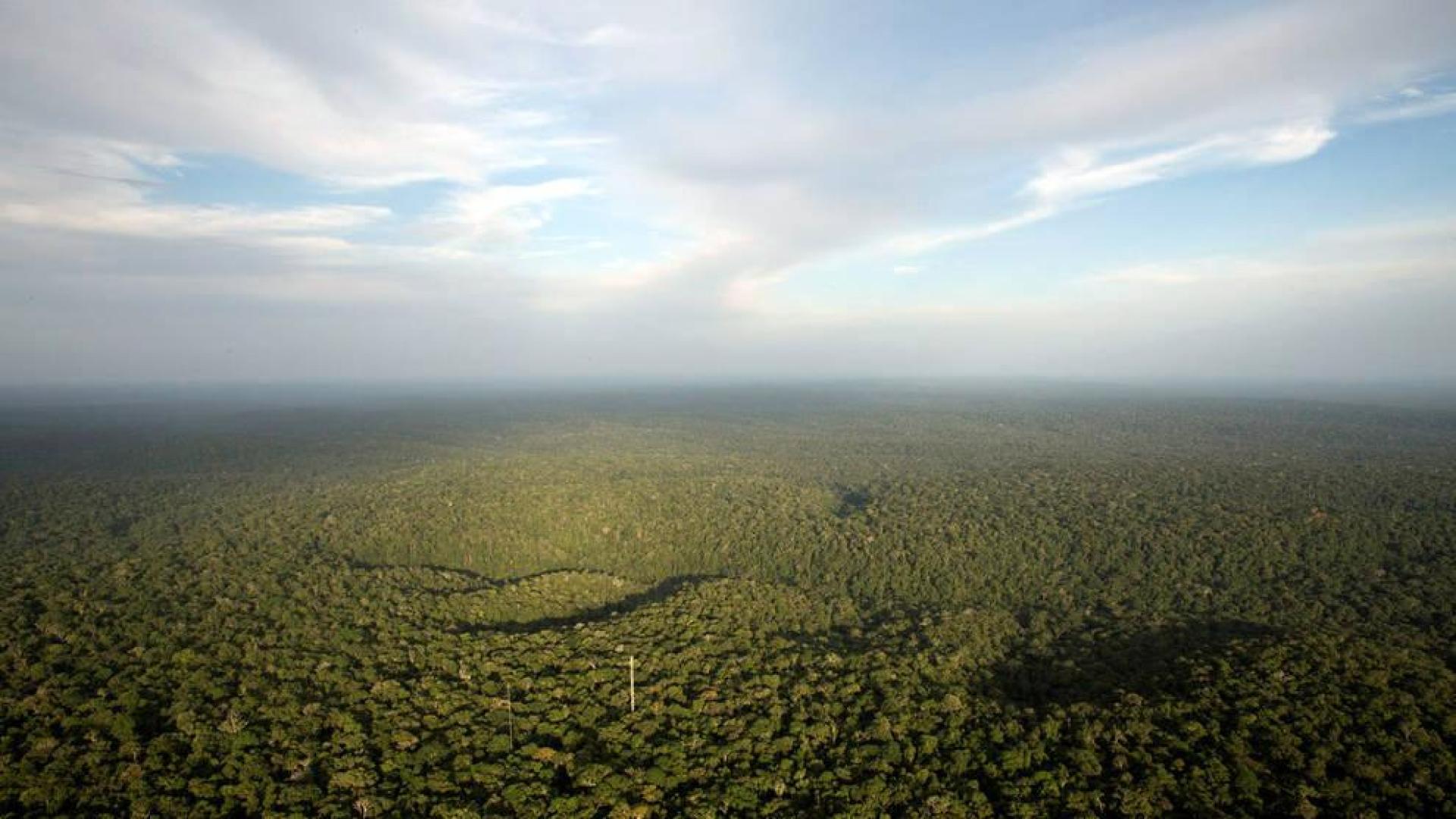 El Amazonas, amenazado por un círculo vicioso de sequía y deforestación