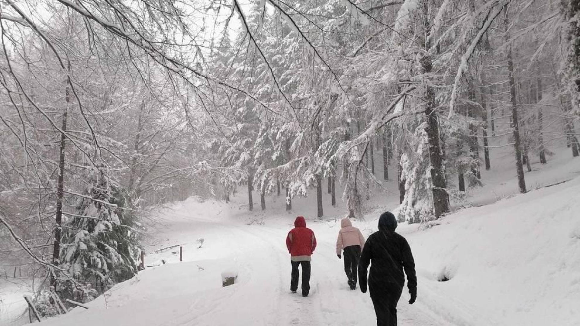 Las nevadas disminuyen este martes en Navarra, pero el intenso frío continuará