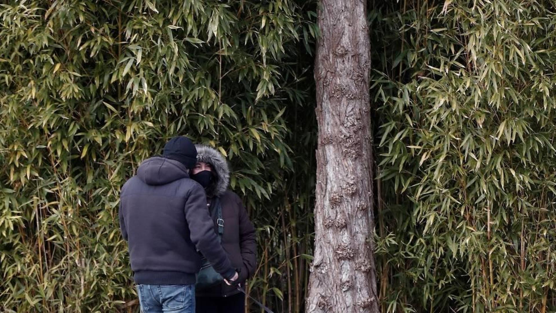 Pamplona activa su Plan de Actuación de Nevadas ante la llegada de 'Filomena'