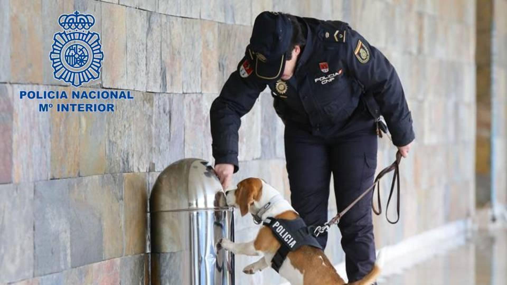 Detenido en la estación de autobuses de Pamplona por un delito de tráfico de drogas