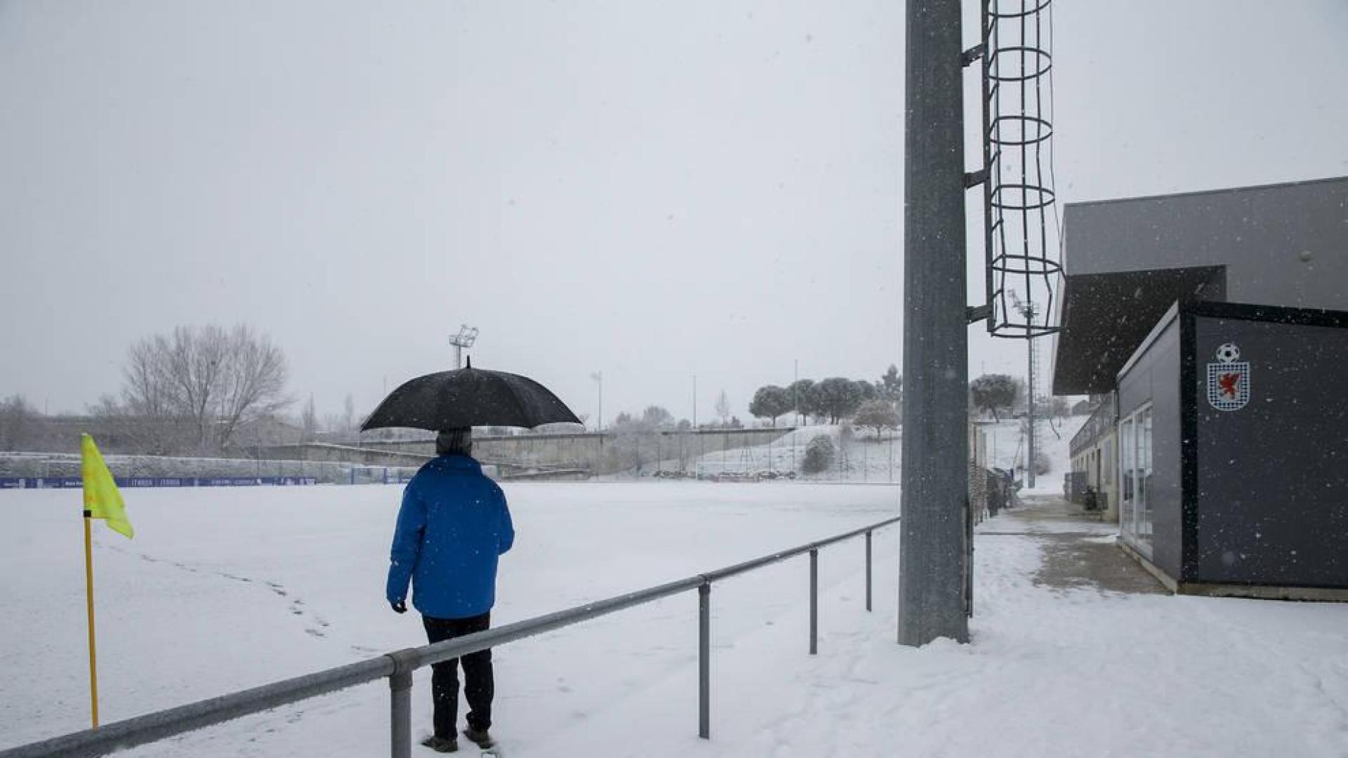 Los campos mudan a blanco