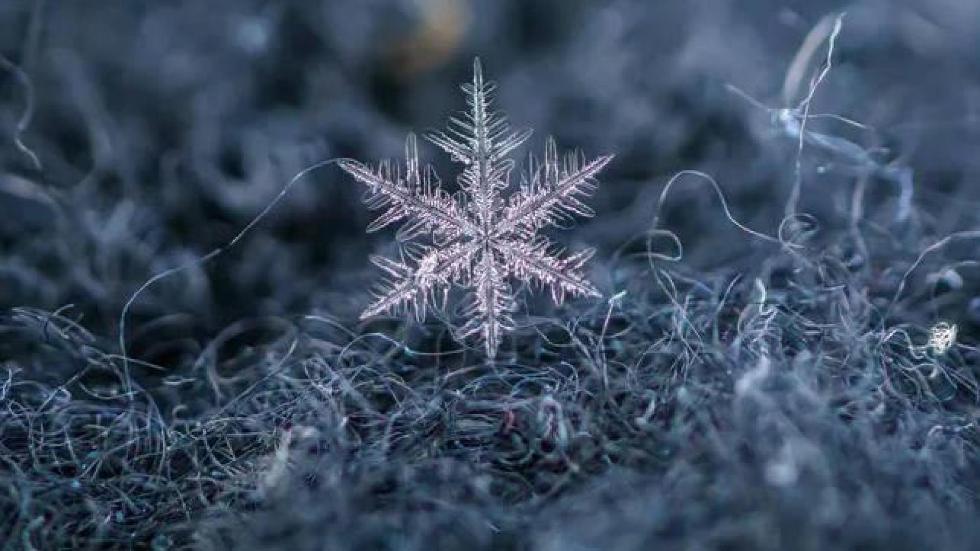 Un copo de nieve.